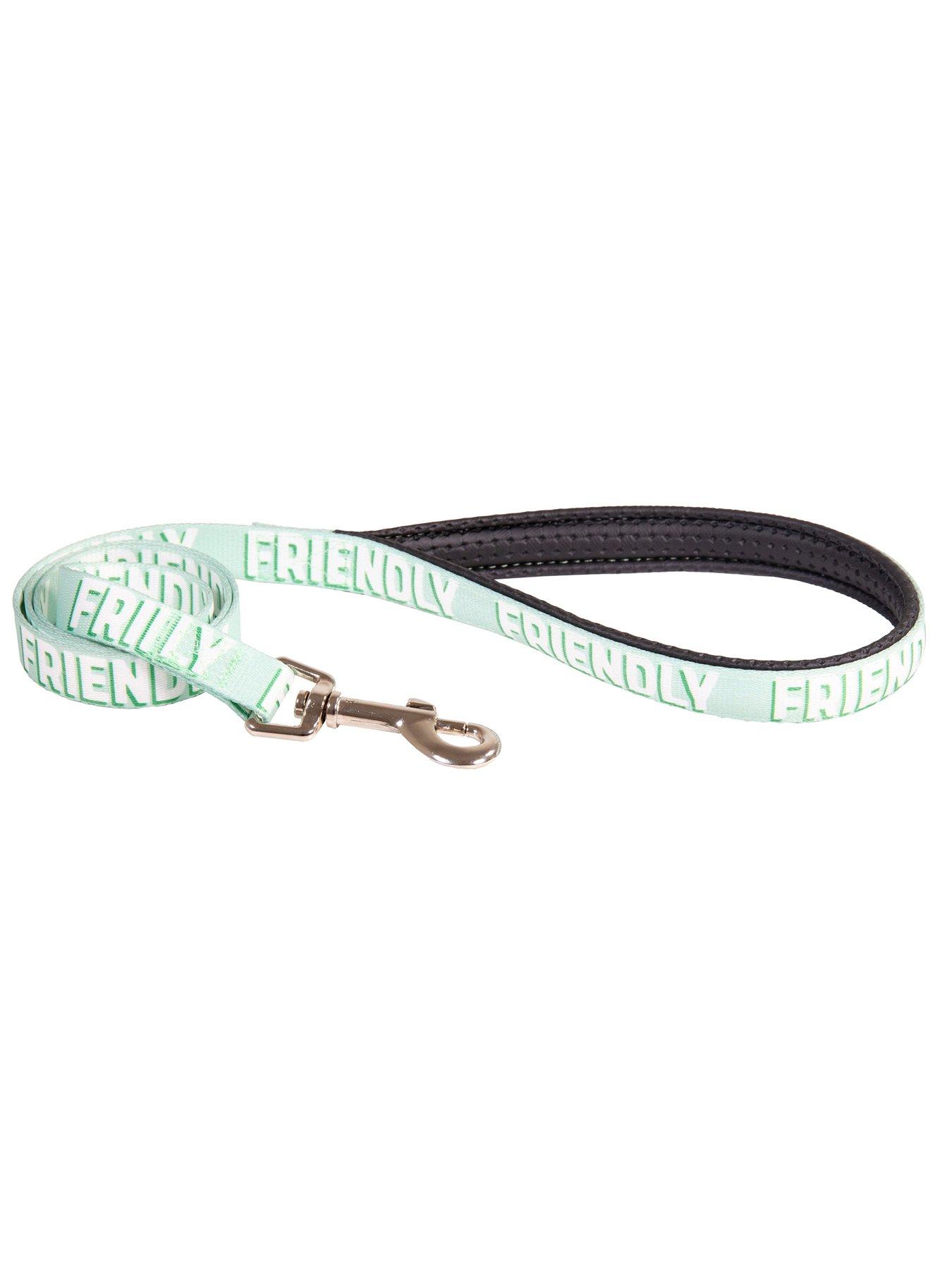 Rosewood Friendly Alert Dog Lead