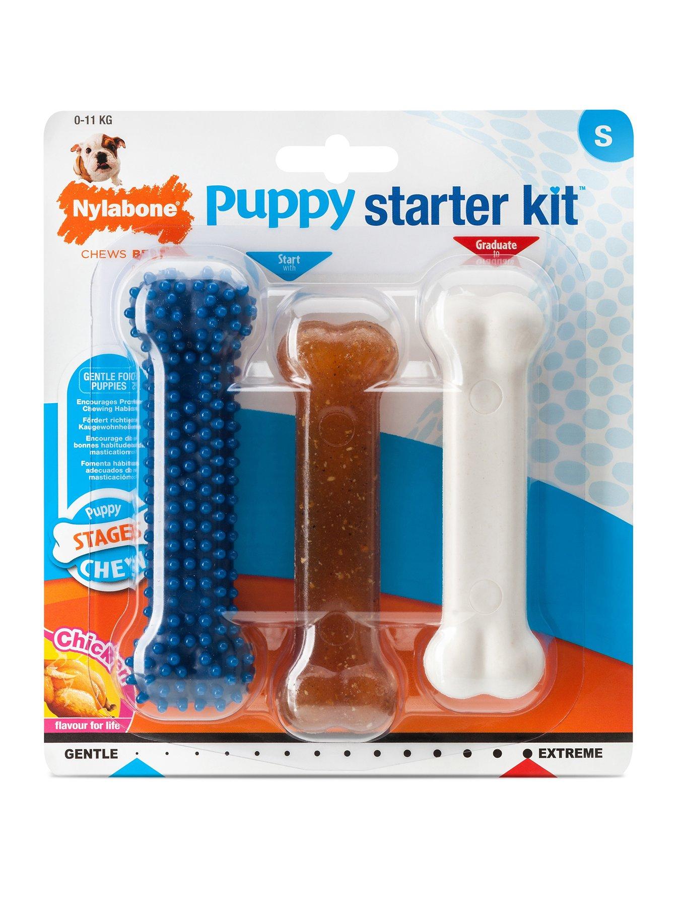 Nylabone Puppy Starter Kit Toy Small