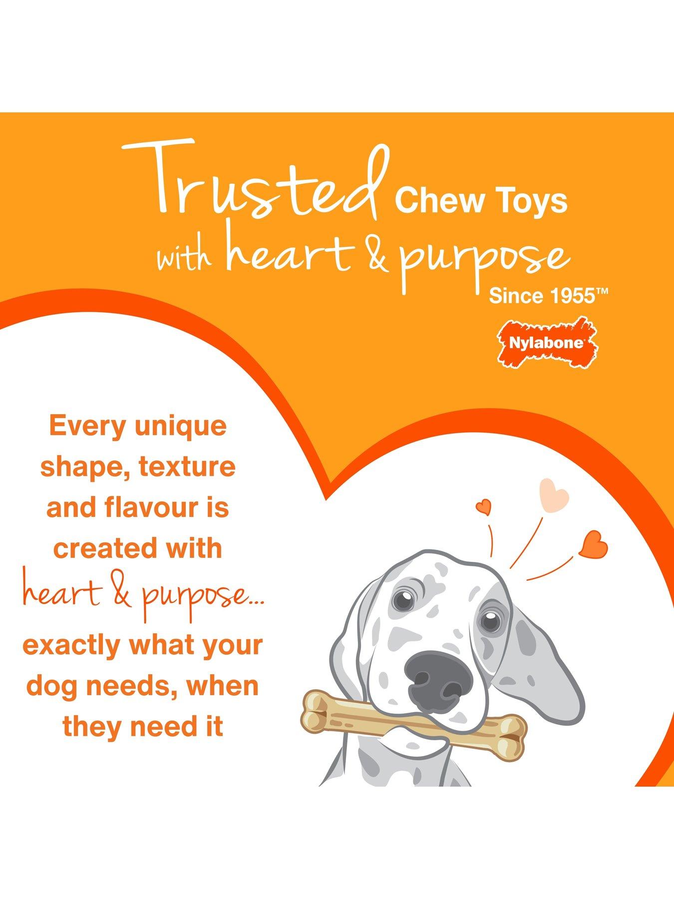 Image 6 of 7 of Nylabone Puppy Starter Kit Toy Small