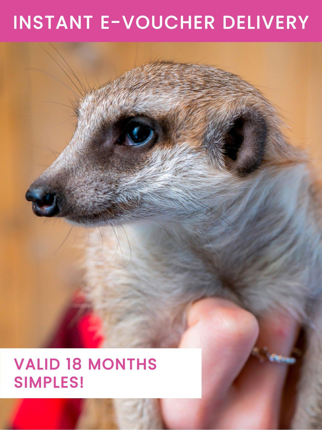Activity Superstore Meerkat Encounter for Two