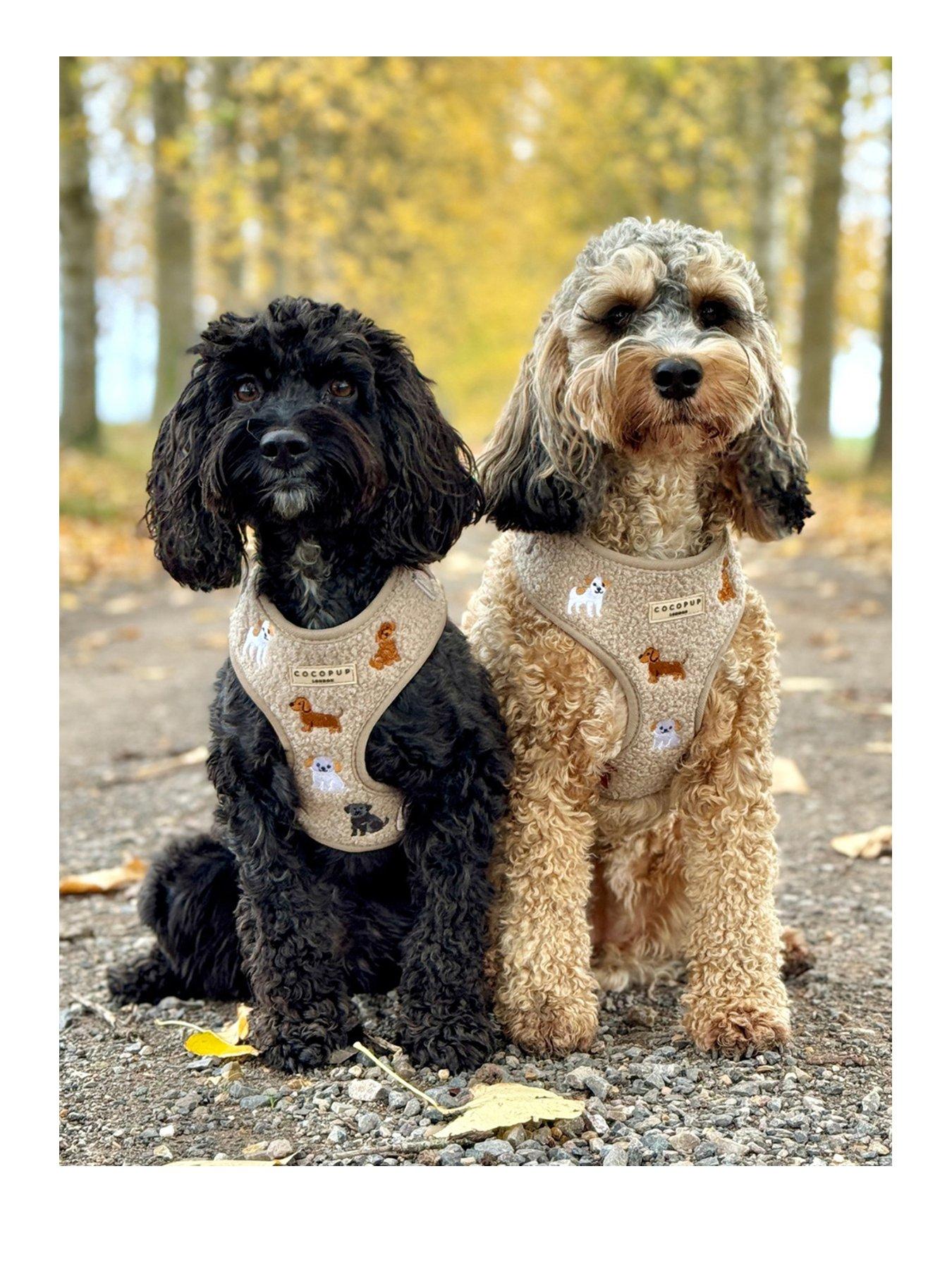 Cocopup Ralph  &  Friends Mocha Teddy Adjustable Neck HARNESS