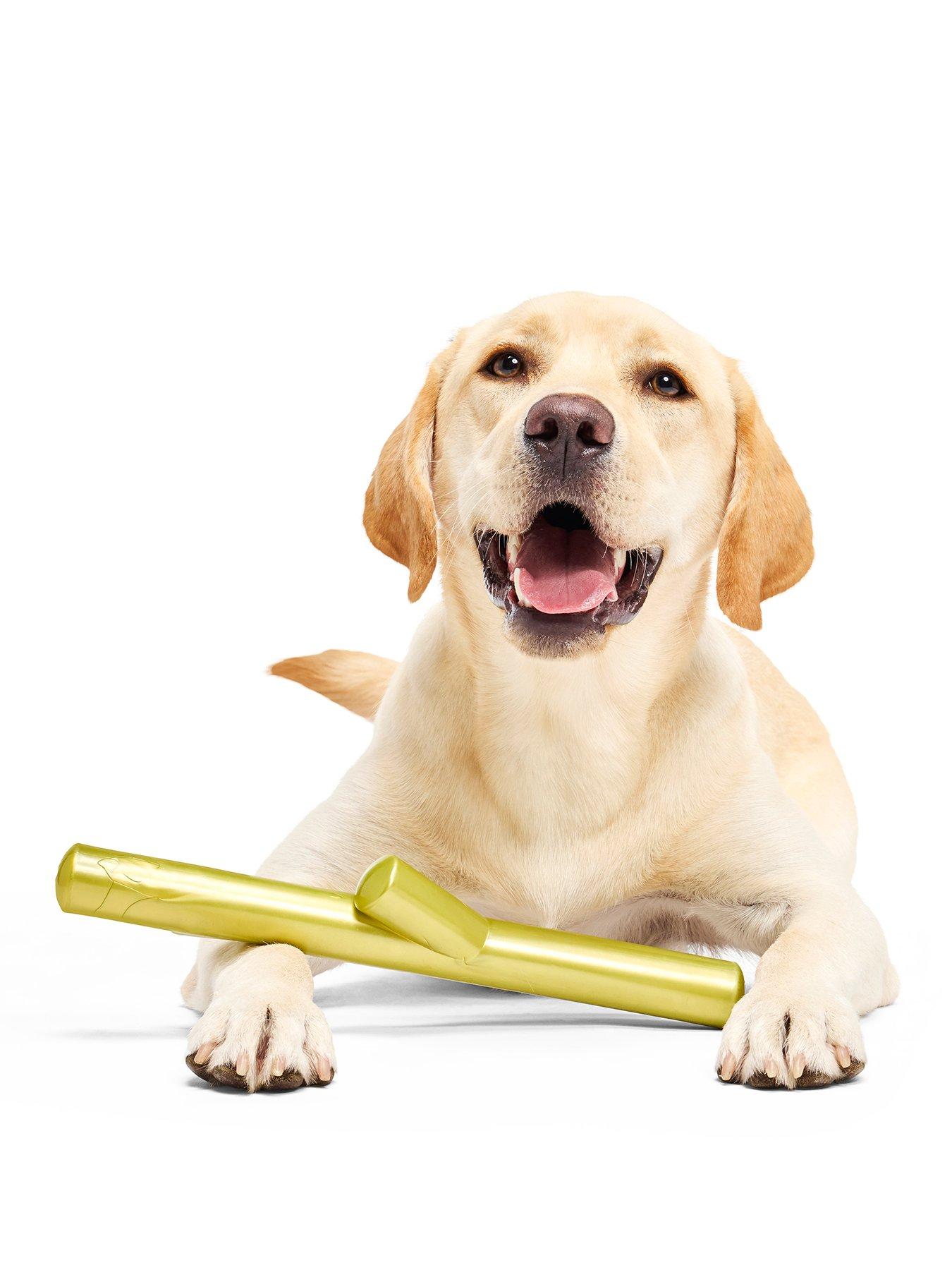 Bark x Crufts Stick of Chompians Dog Toy