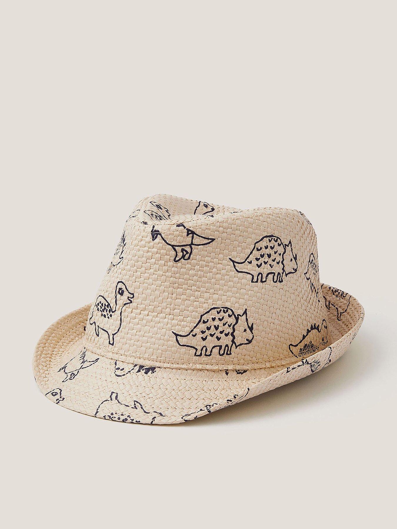 Monsoon Boys Dinosaur Trilby - Multi