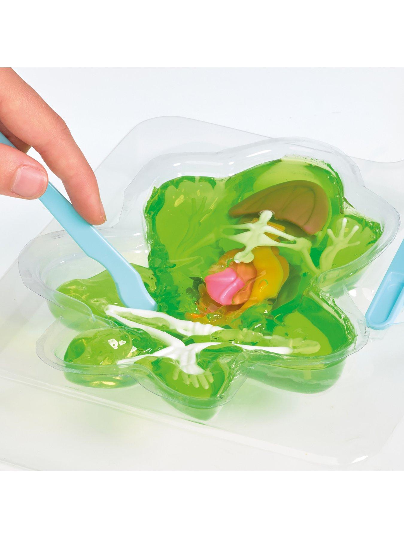 Image 3 of 3 of Science Mad Dissection Kit - 2 Pack