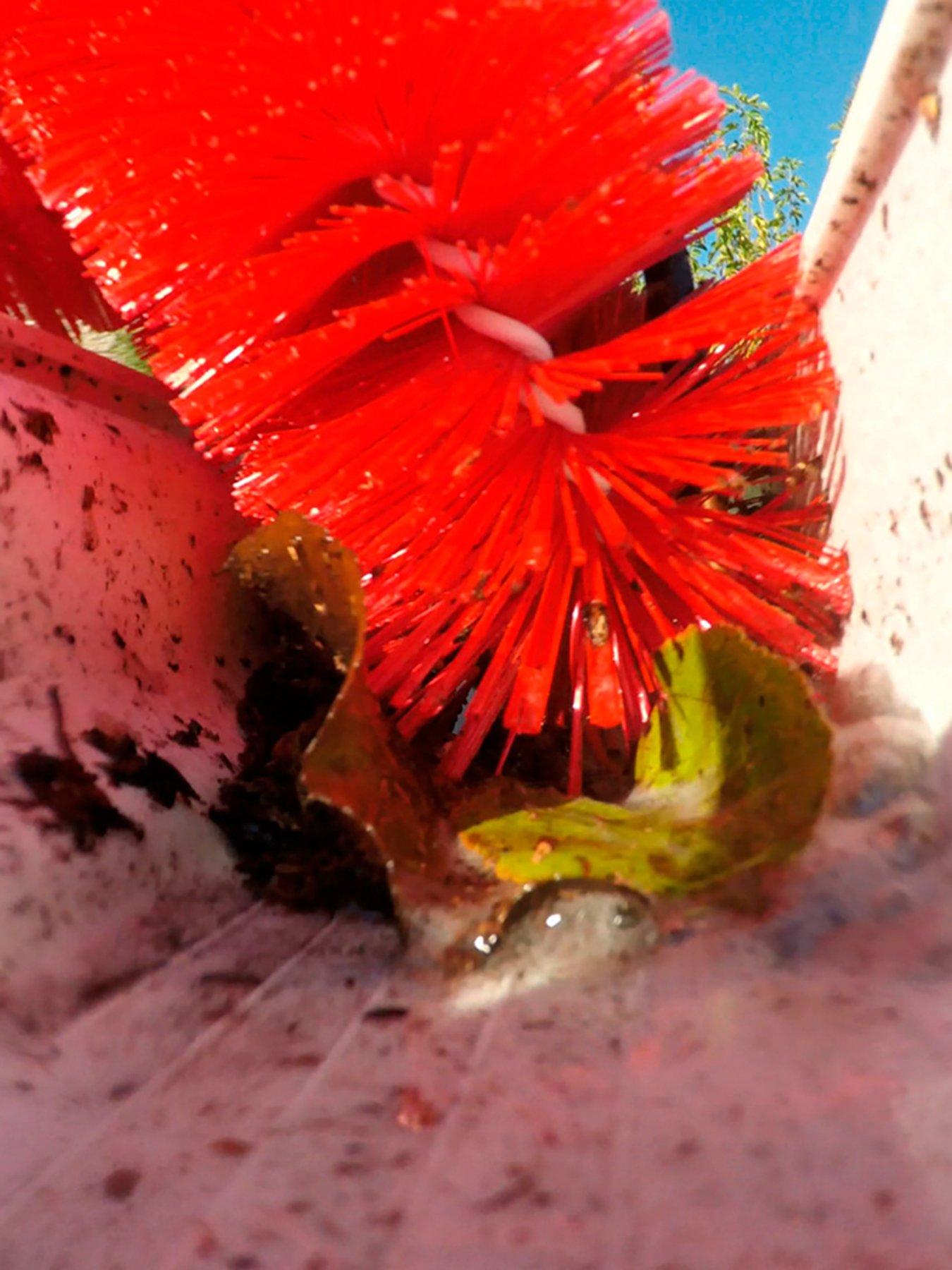 Image 3 of 5 of JML Starlyf Telescopic Hydro Cleaner Gutter Brush