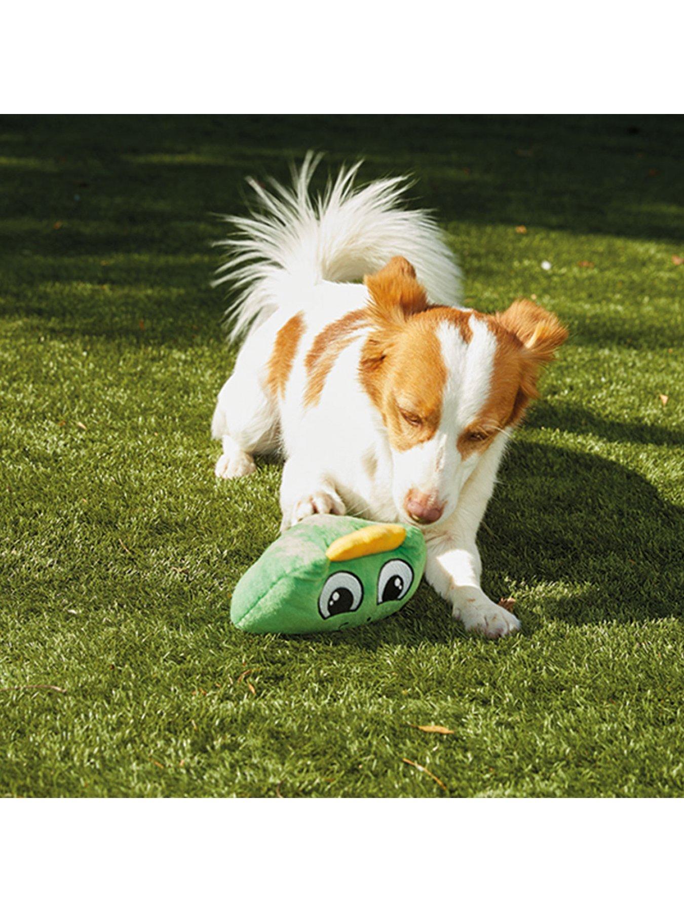 Image 3 of 3 of JML Dino Chuckle Chums Dog Toy