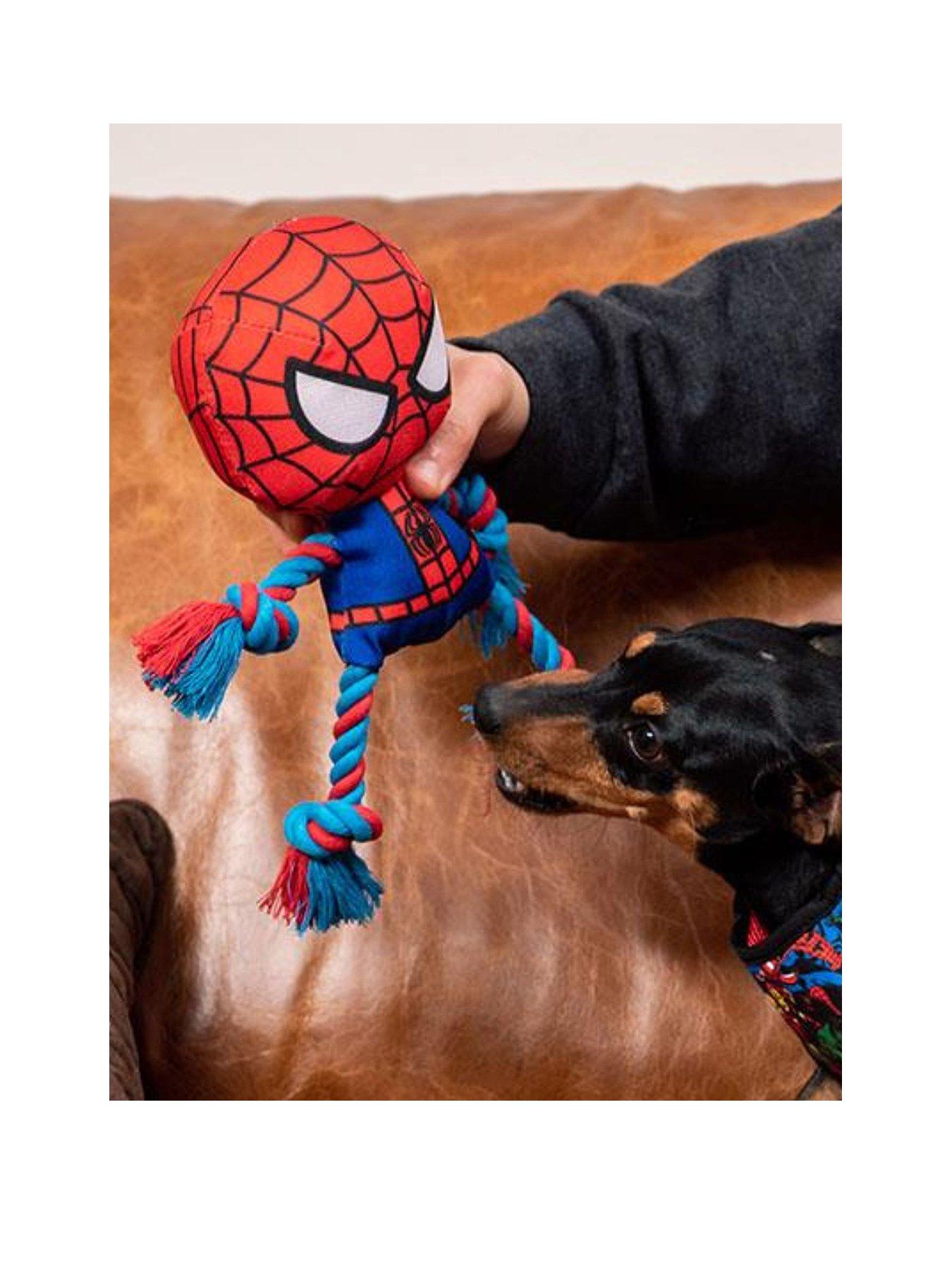 Image 2 of 5 of Spiderman TOY