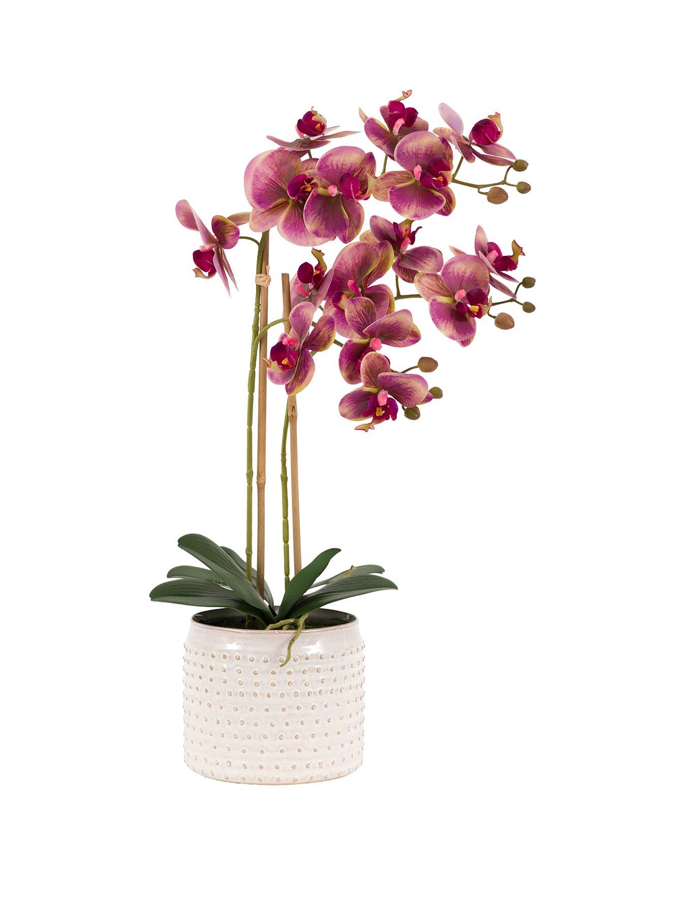 Gallery Direct Willow Stems In Ceramic Vase