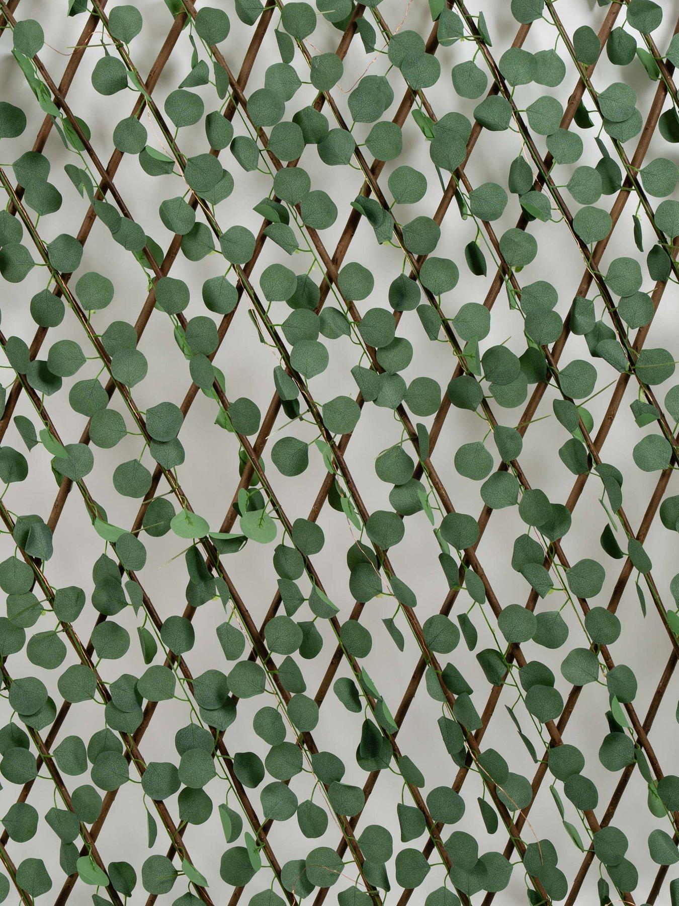 Image 4 of 4 of Scottish Everlastings 170X90Cm Eucaliptus Trillis With Solar Lights