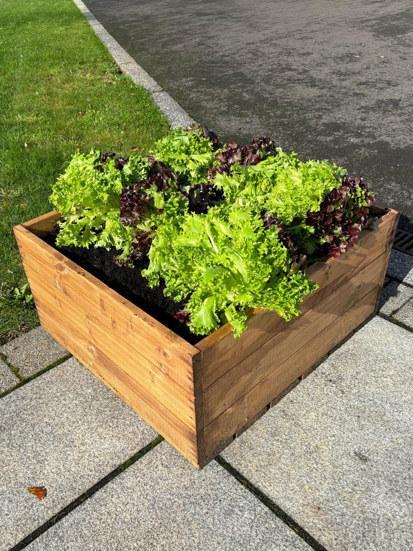 Image 1 of 6 of Charles Taylor Country Kitchen Large Raised Bed