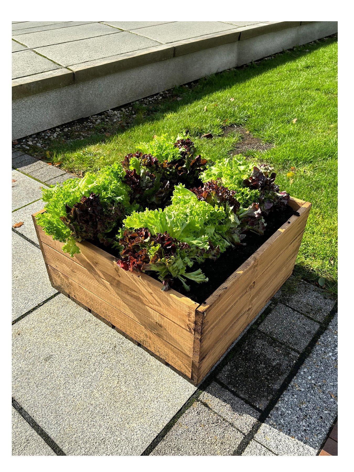 Image 2 of 6 of Charles Taylor Country Kitchen Large Raised Bed