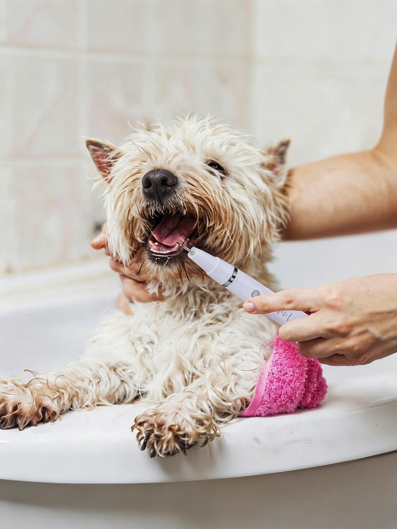 Image 3 of 7 of Living and Home White Pet Teeth Cleaning Kit