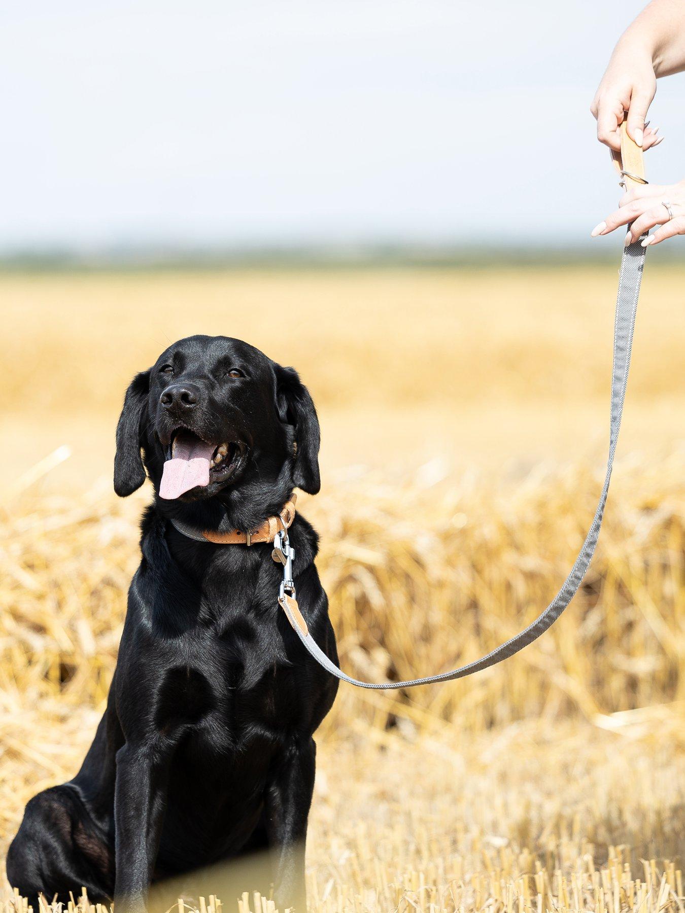 Lords and Labradors Lords  &  Labradors Essentials Twill Lead Slate S