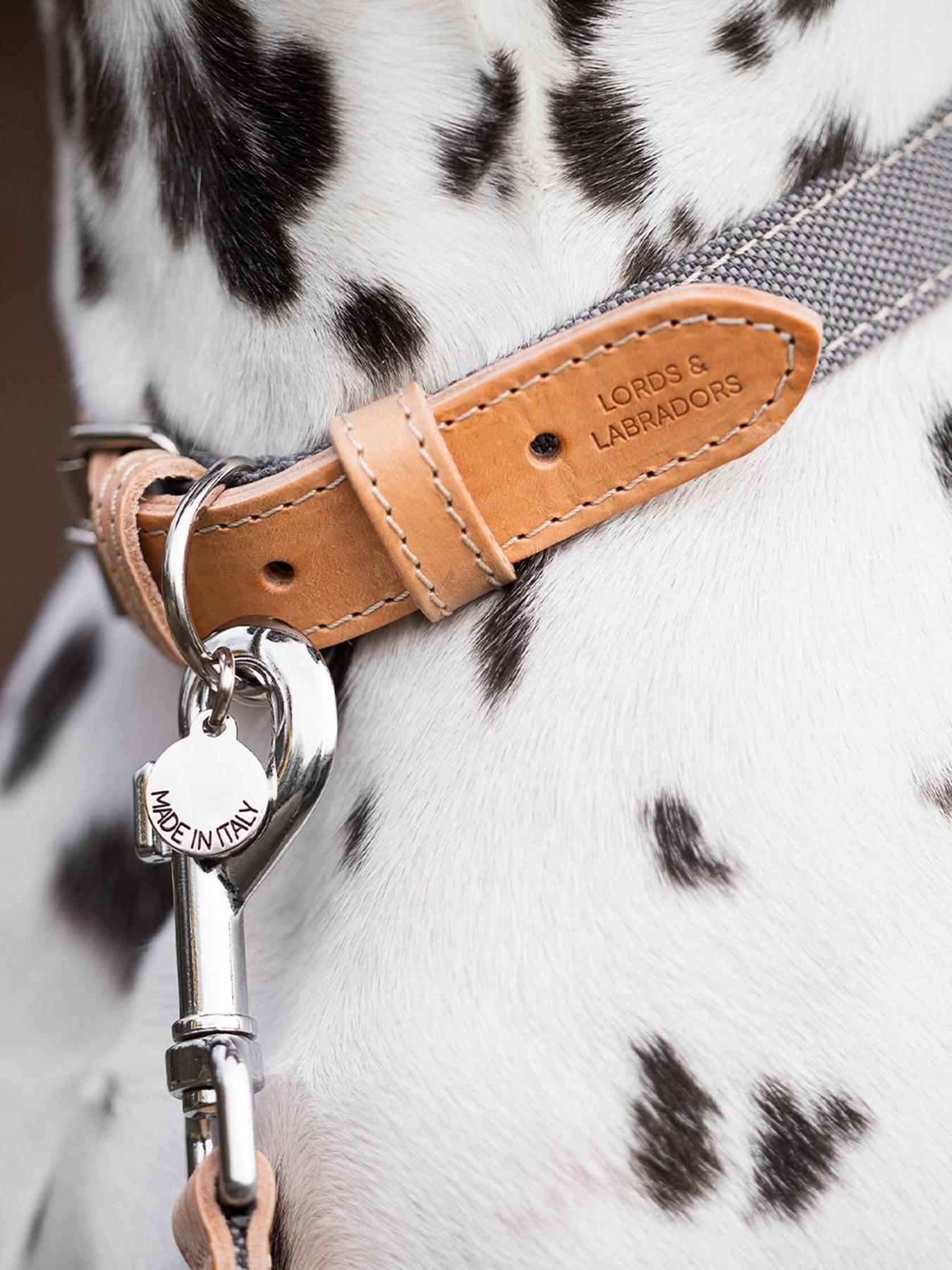 Lords and Labradors Lords  &  Labradors Essentials Twill Collar Slate XL