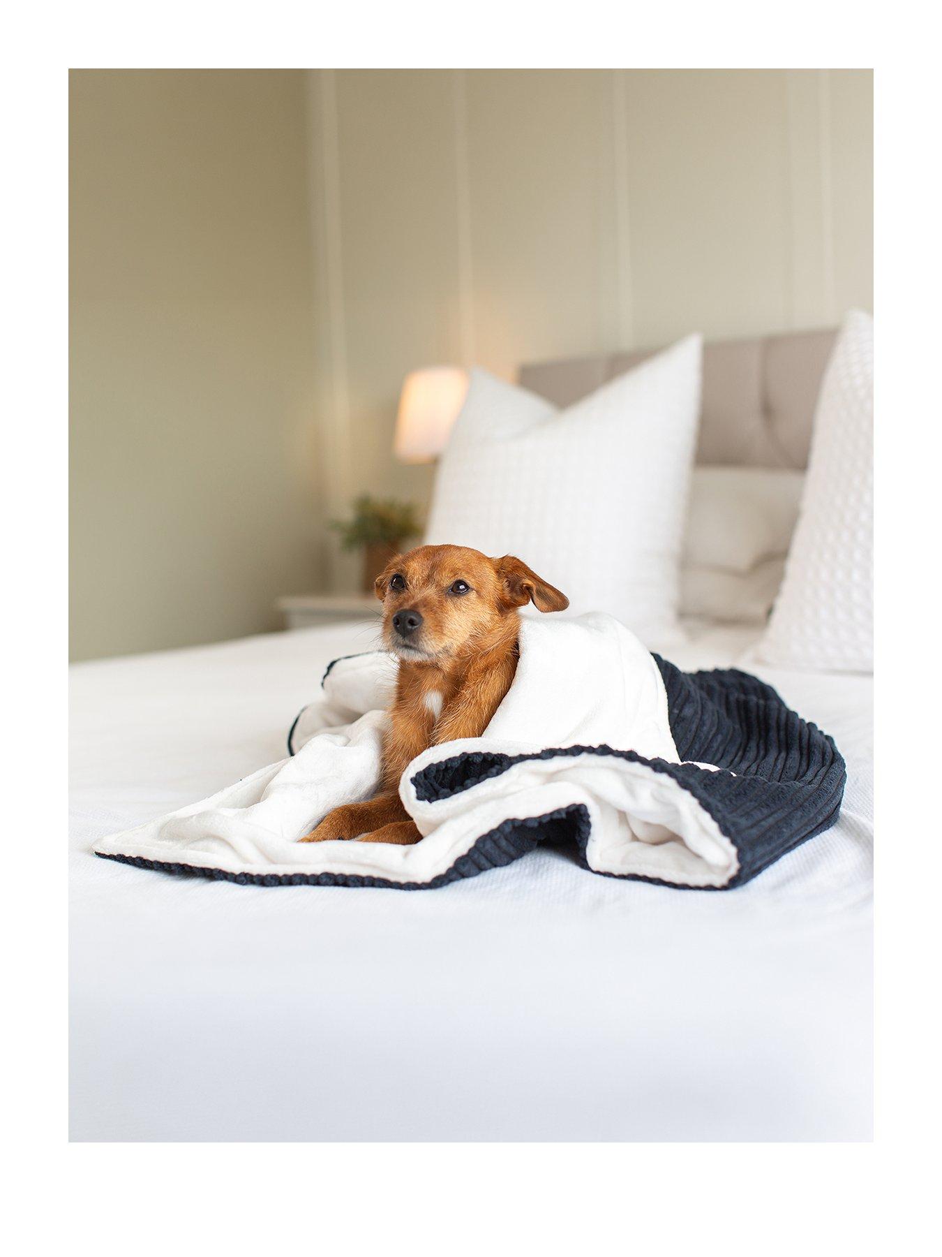 Image 1 of 2 of Lords and Labradors L&amp;L Essentials Blanket Navy L