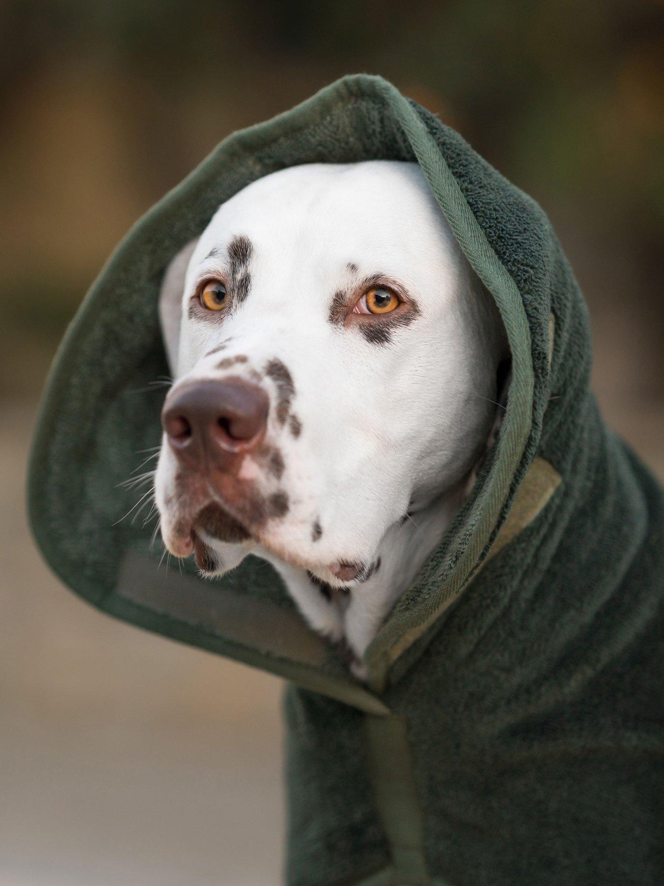 Image 6 of 6 of Lords and Labradors Bamboo Drying Coat in Fir by Lords &amp; Labradors