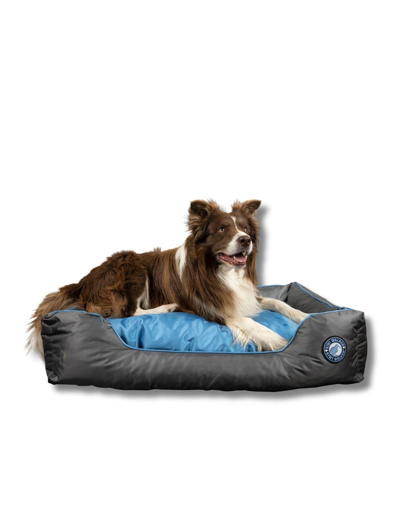 Image 2 of 5 of Kiwi Walker Blue Running Border Bed - XL