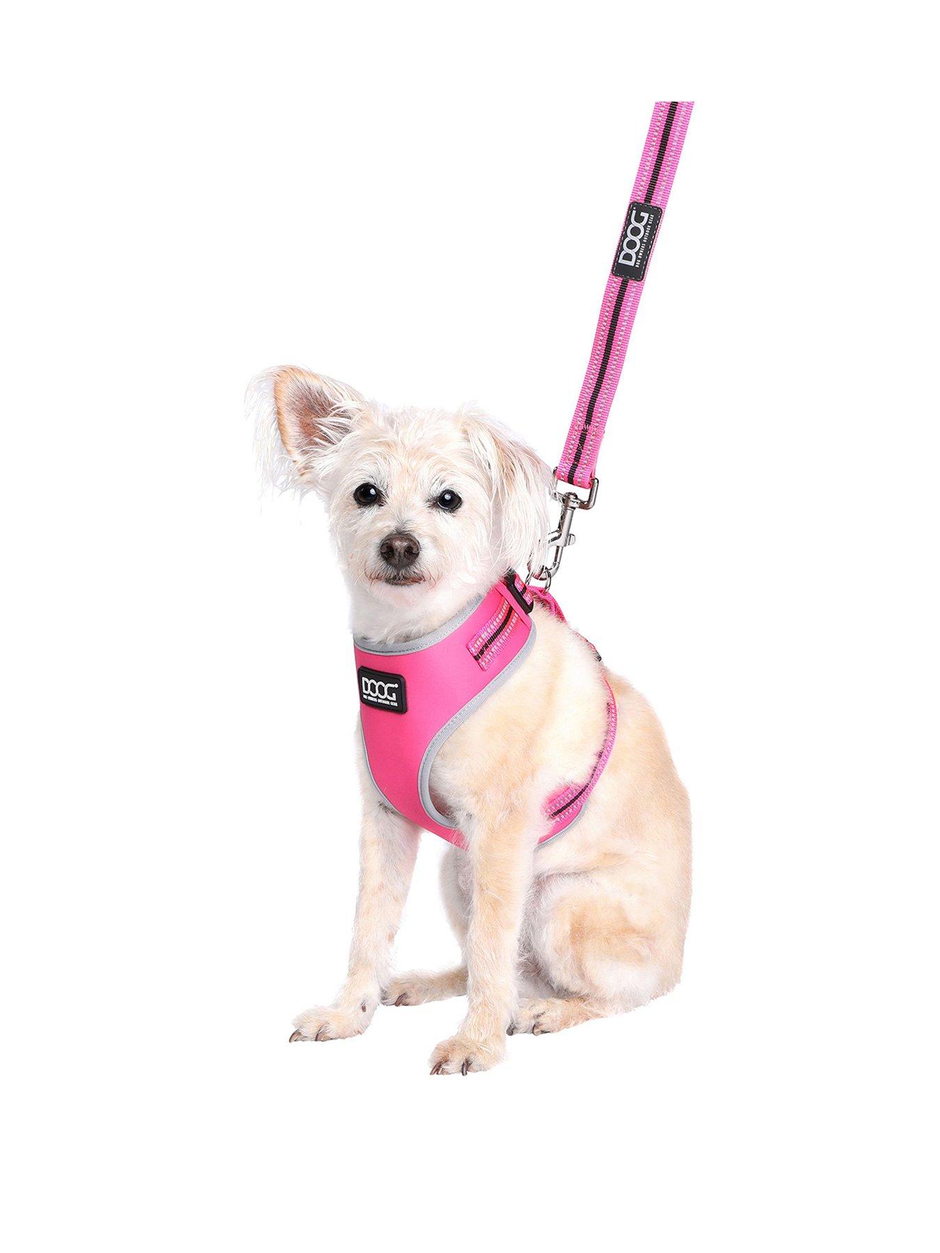 Doog Neoflex Dog Harness LADY - Large With Clipit Lead