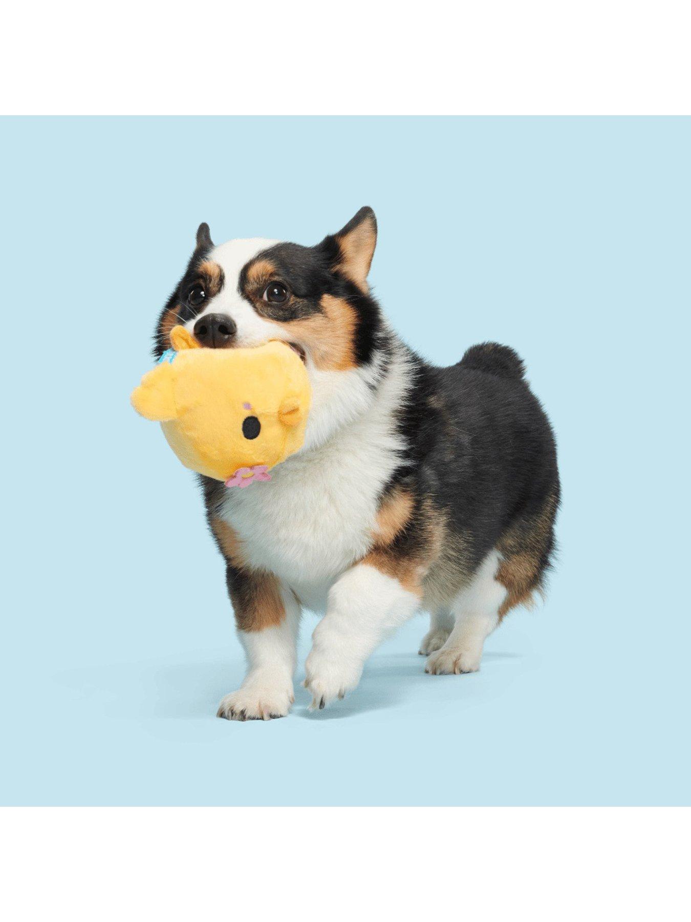 Image 4 of 6 of Bark Lil Hennifer/Green Thumb Bun Dog Toy Bundle
