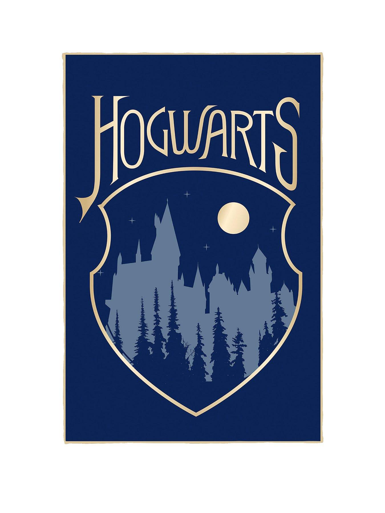 Harry Potter Hogwarts Coral Panel Blanket 100X150Cm