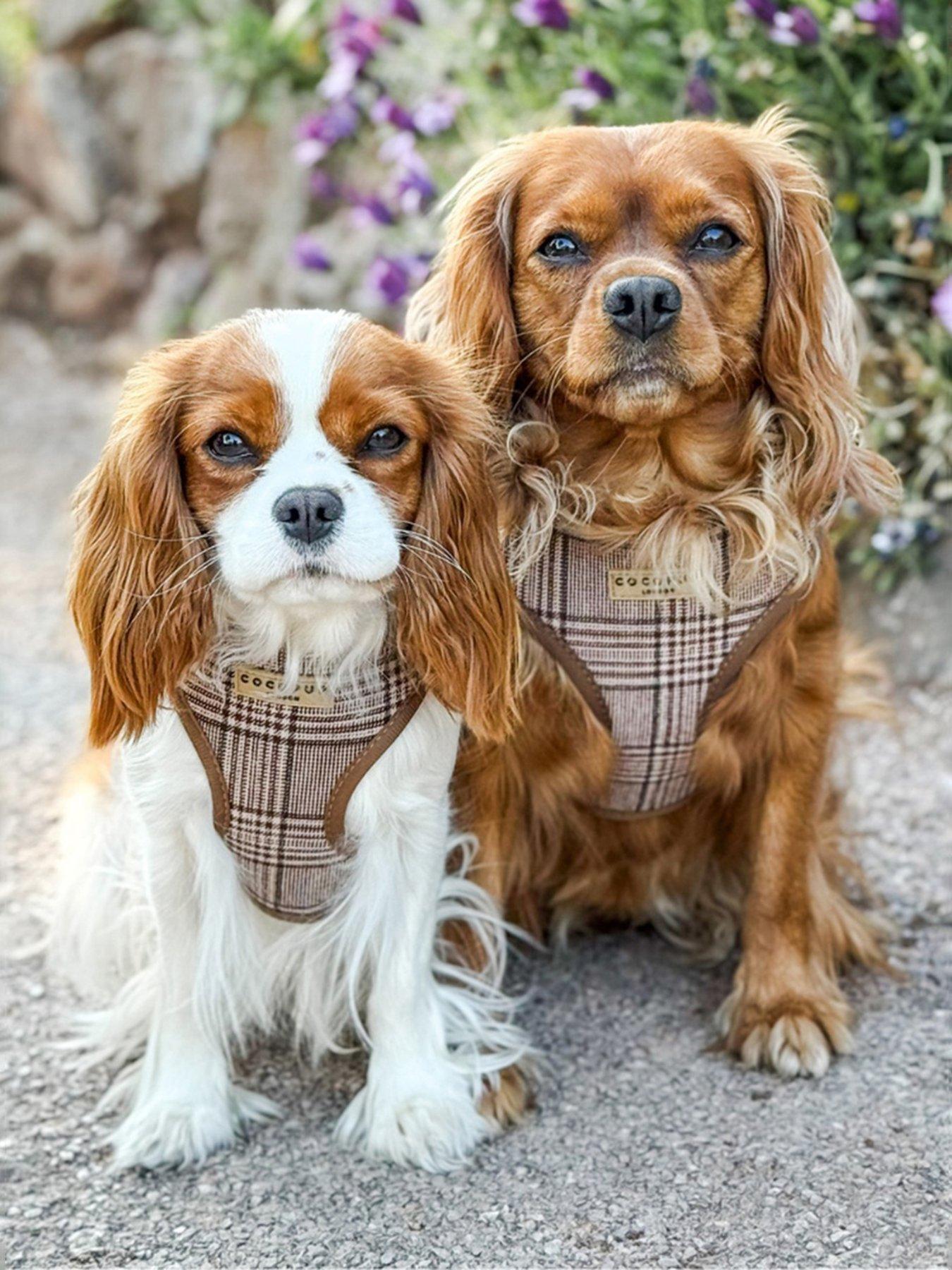 Image 1 of 3 of Cocopup Pup Plaid Adjustable Neck Harness