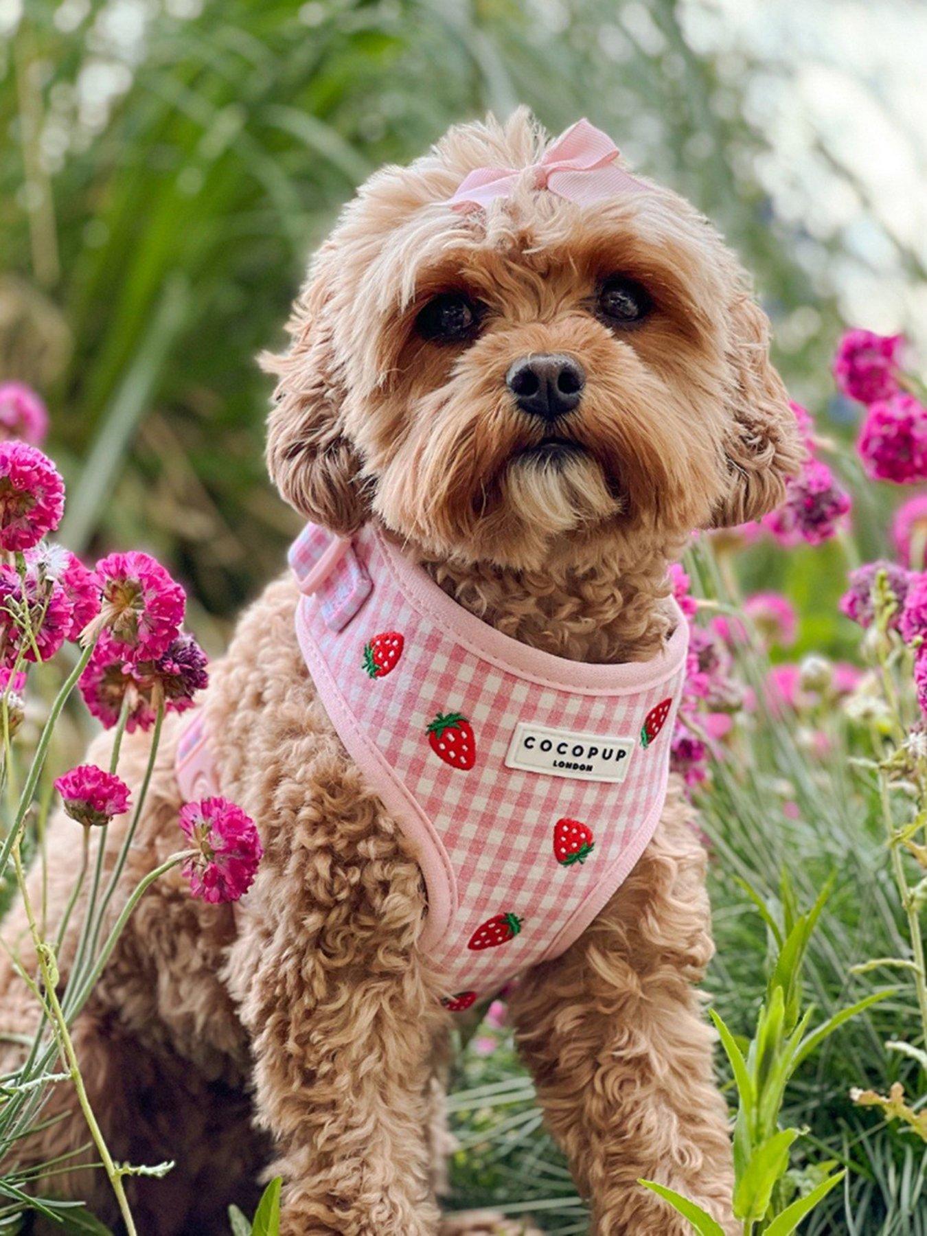 Cocopup Strawberry Picnic Pup Adjustable Harness