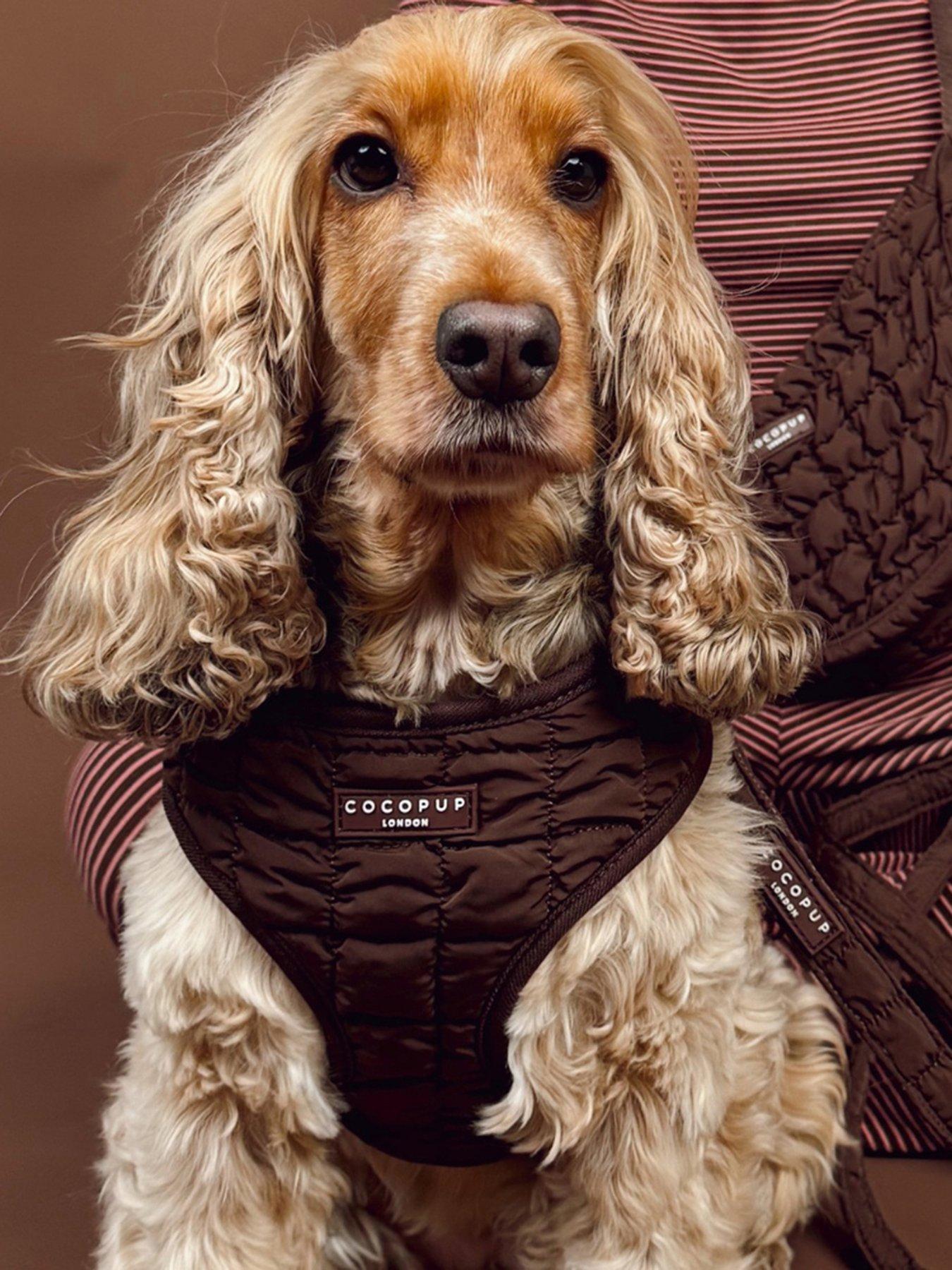Cocopup Espresso Quilted Adjustable Neck Harness
