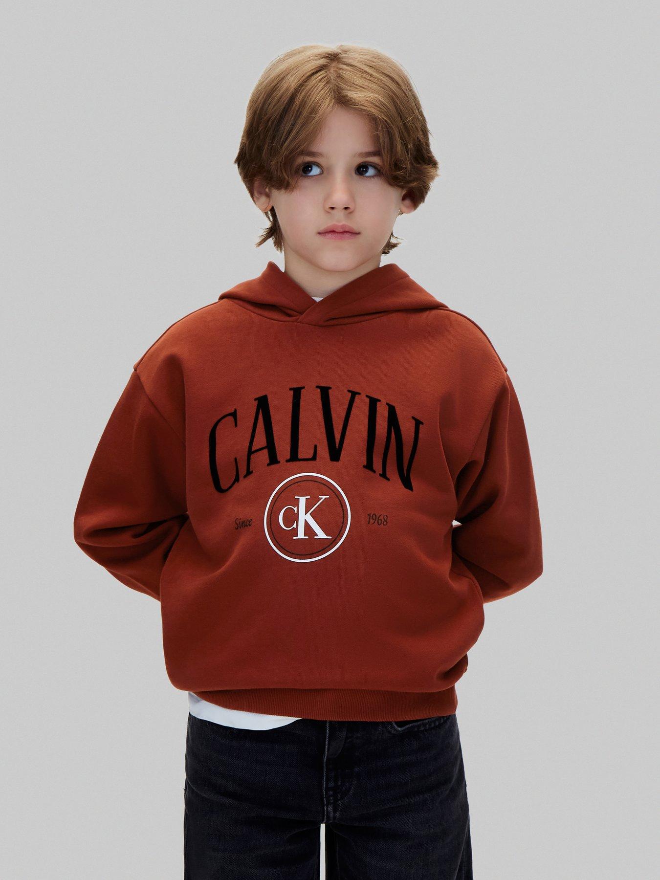 Calvin Klein Jeans Boys Ck Circle Hoodie, Brown, Size 6 Years