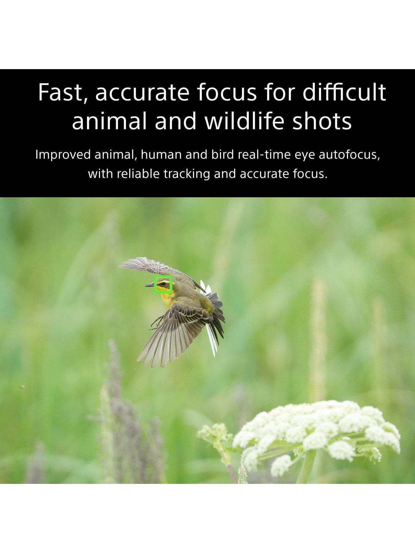 Image 4 of 8 of Sony Alpha 7 IV Full Frame Mirroless Camera Creator Grip Kit