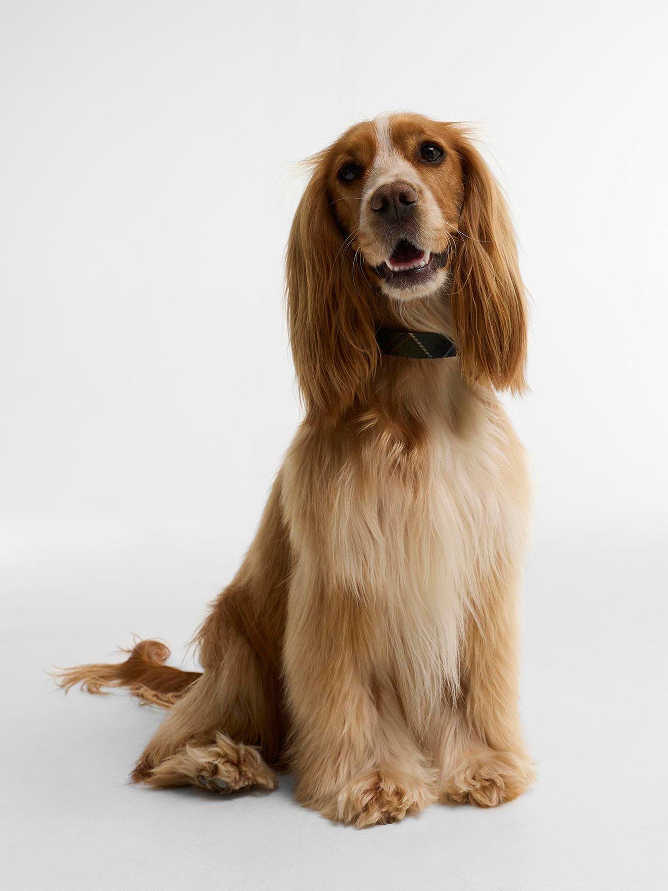Image 2 of 4 of Barbour For Pets Tartan Print Adjustable Dog Collar - Brown
