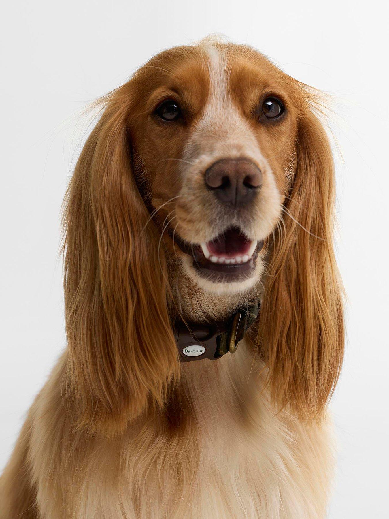 Image 3 of 4 of Barbour For Pets Tartan Print Adjustable Dog Collar - Brown