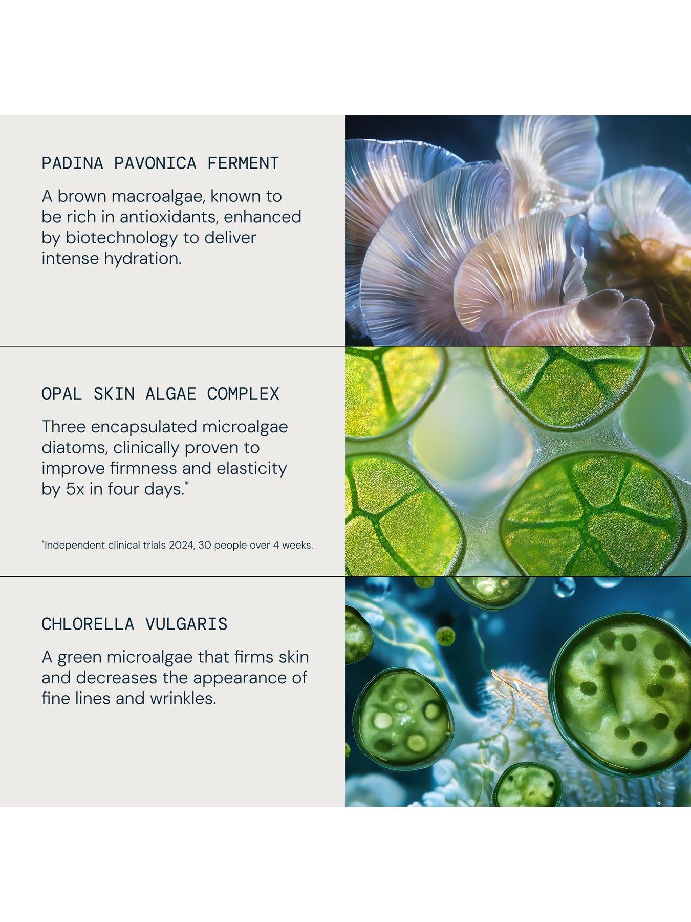 Image 5 of 7 of Elemis ELEMIS Pro-Collagen Discovery Collection (worth &pound;122)