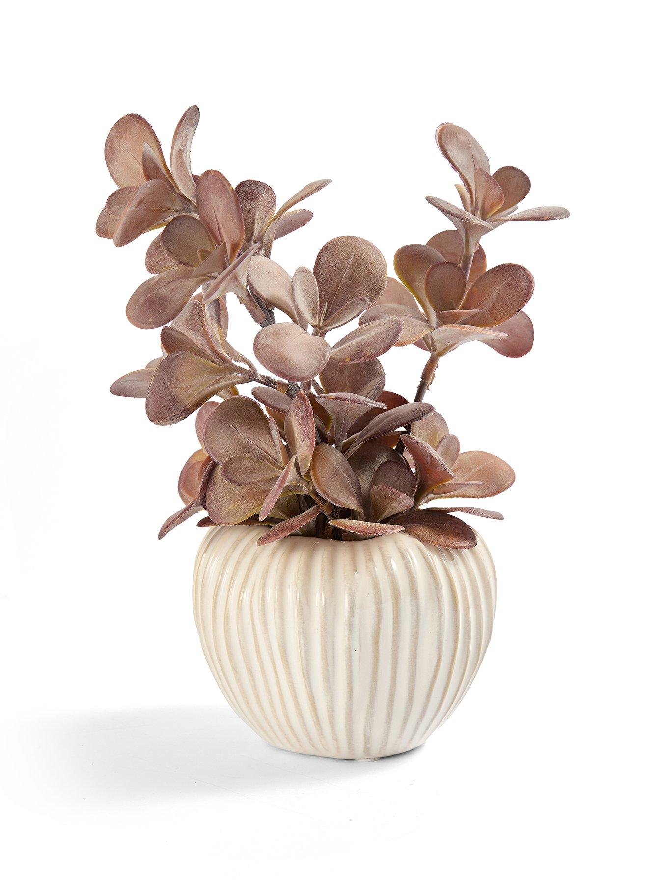Image 2 of 7 of The Very Collection Purple Plant In Ceramic Pot