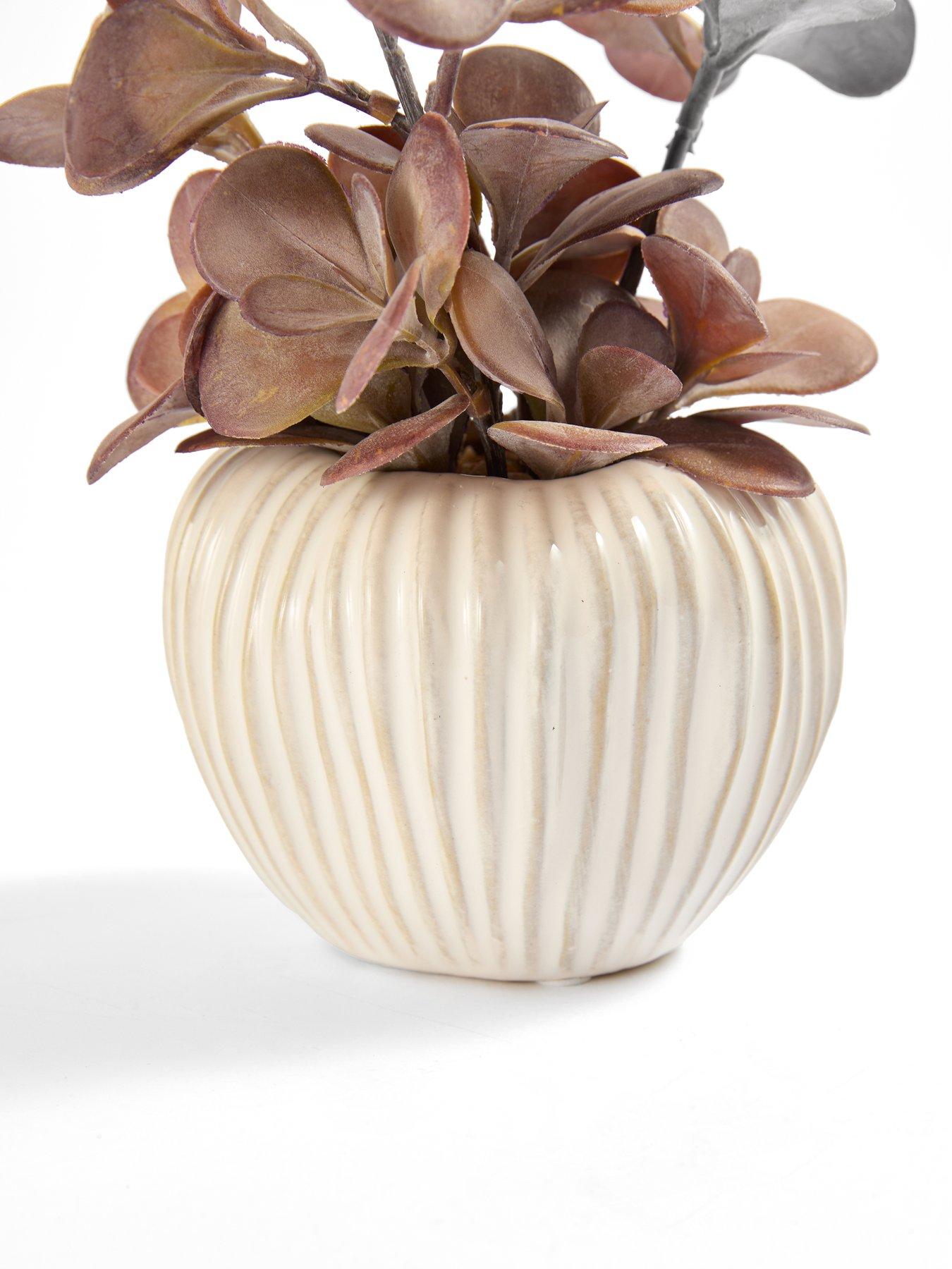 Image 3 of 7 of The Very Collection Purple Plant In Ceramic Pot