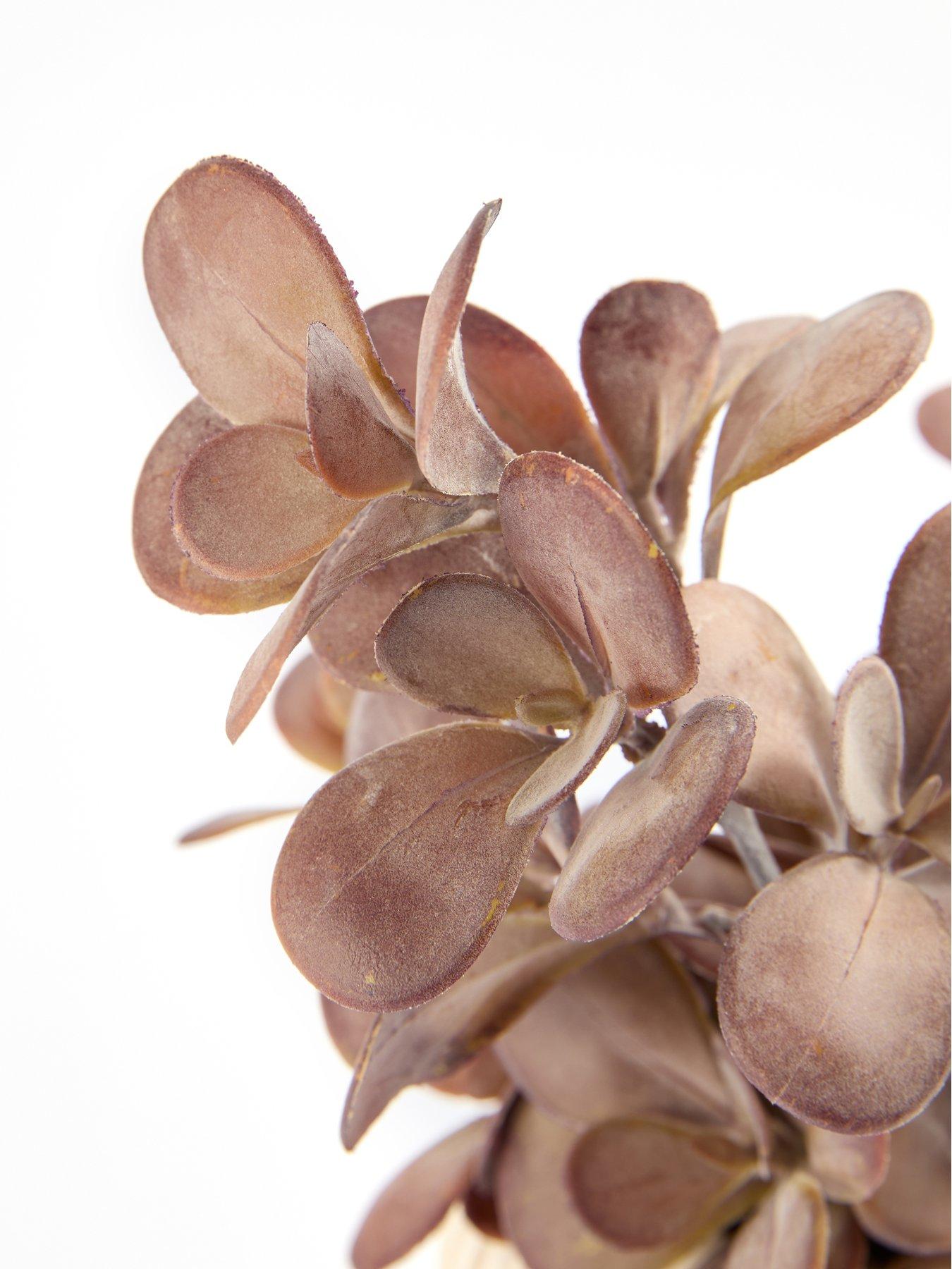 Image 4 of 7 of The Very Collection Purple Plant In Ceramic Pot