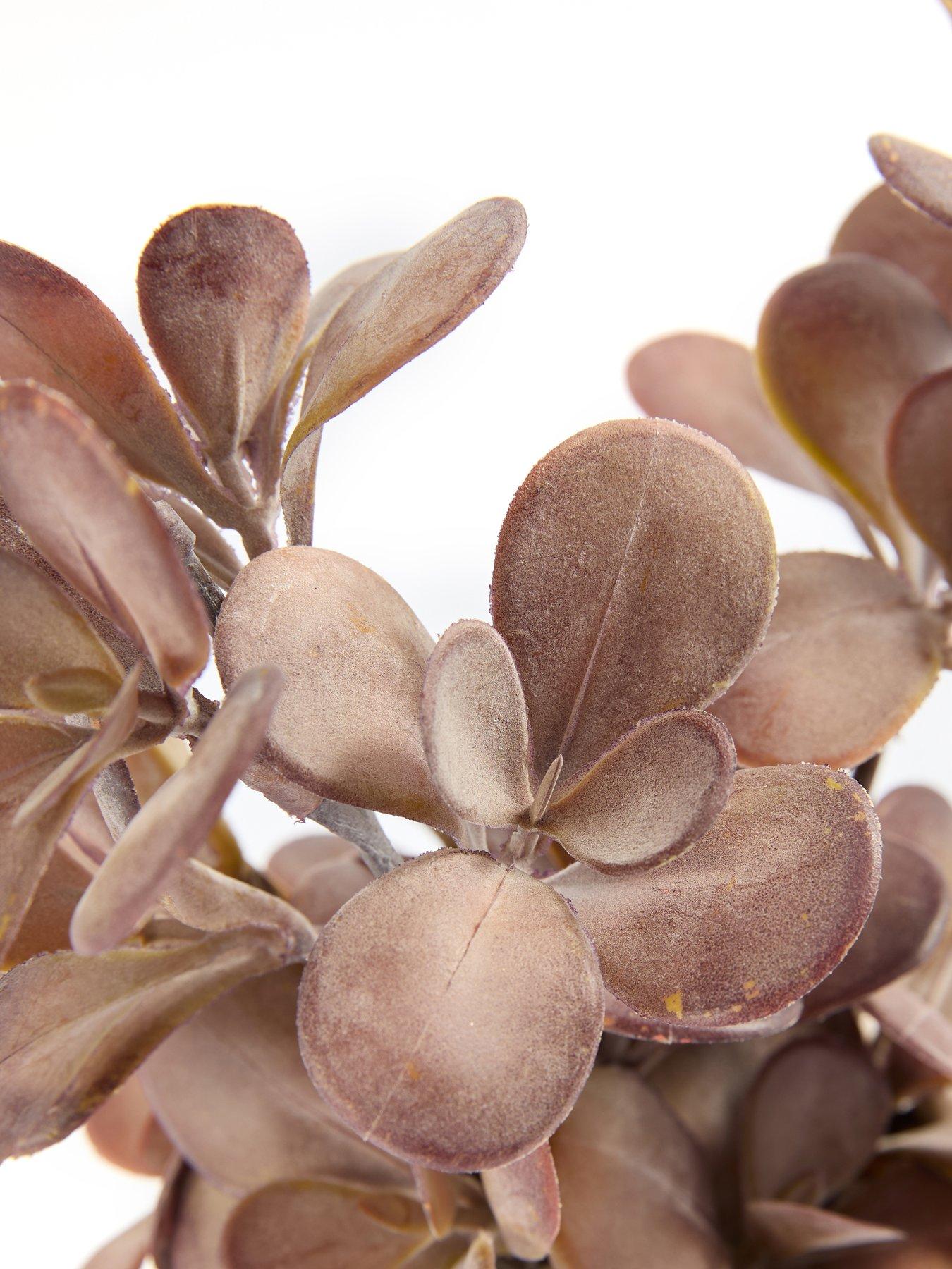 Image 5 of 7 of The Very Collection Purple Plant In Ceramic Pot