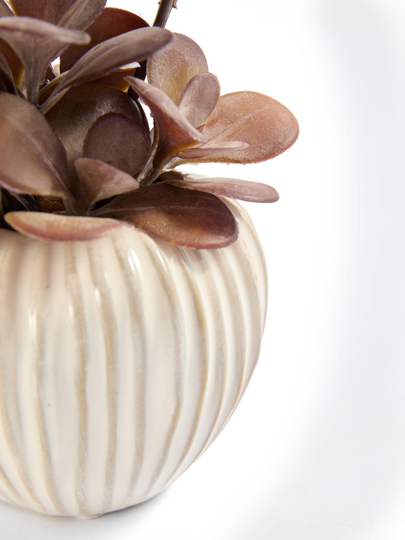 Image 6 of 7 of The Very Collection Purple Plant In Ceramic Pot