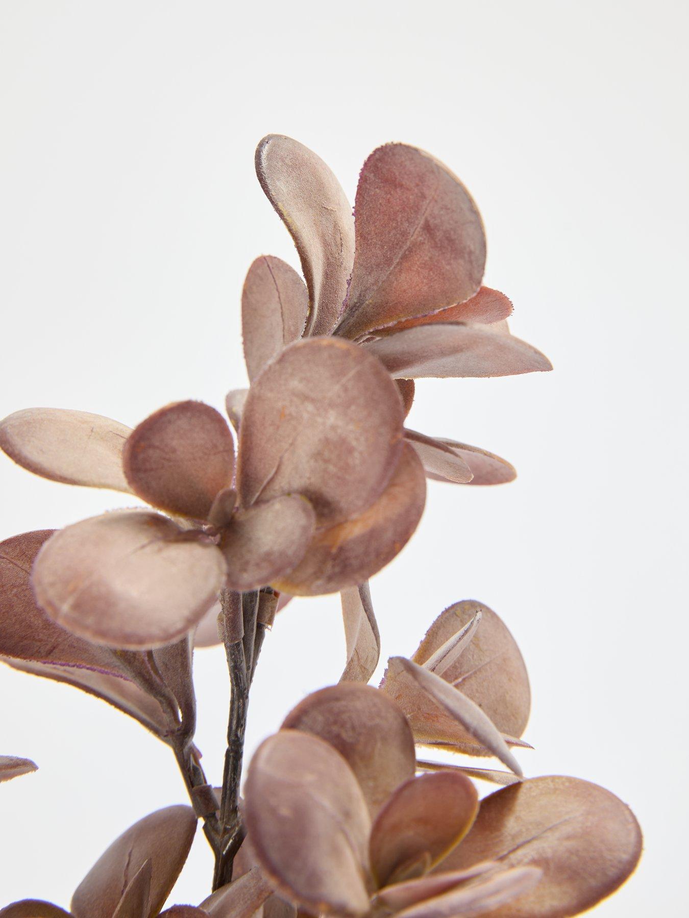 Image 7 of 7 of The Very Collection Purple Plant In Ceramic Pot
