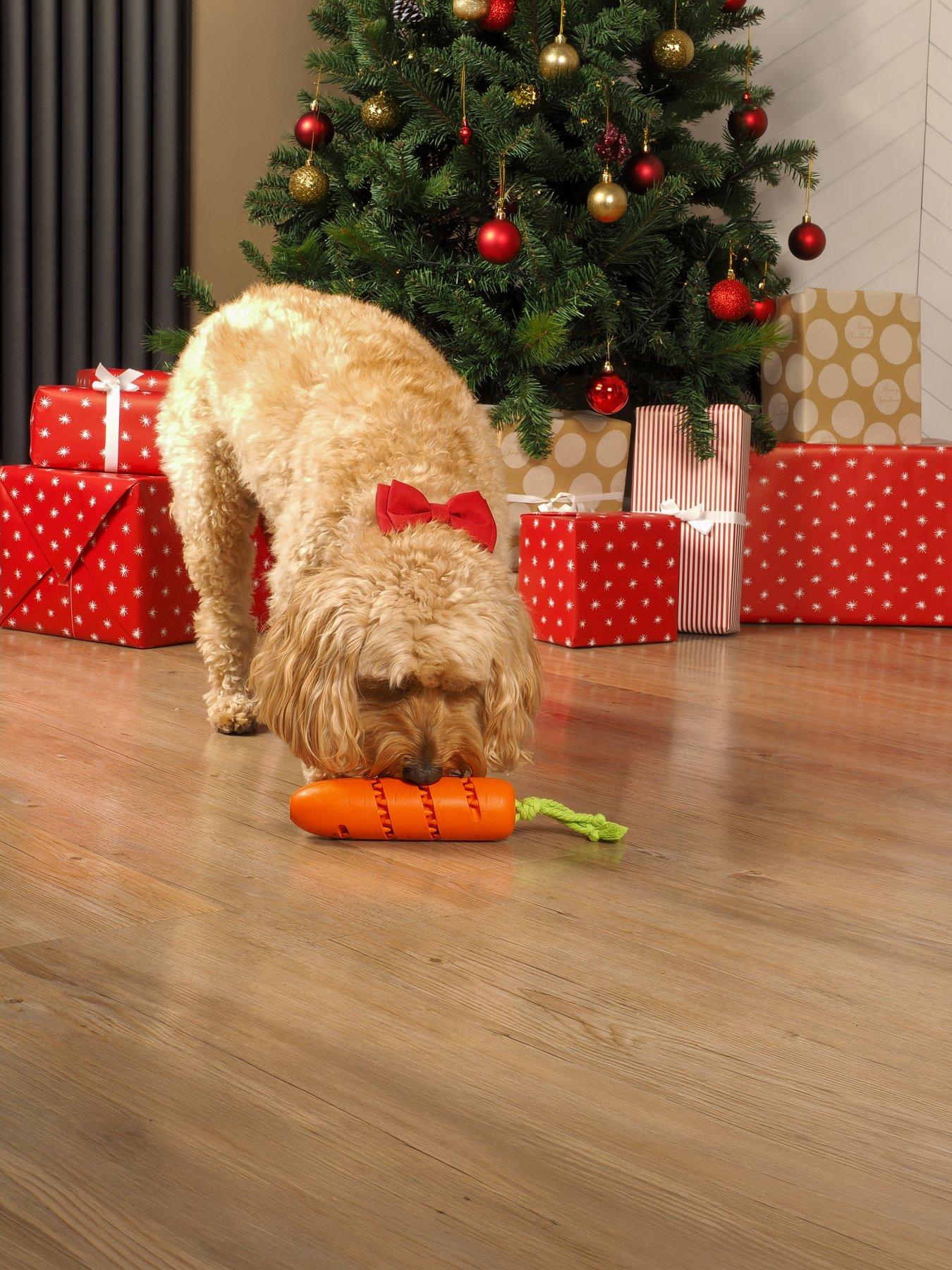 Image 1 of 3 of Zoon Carrot Treat Dispenser, Mail Order