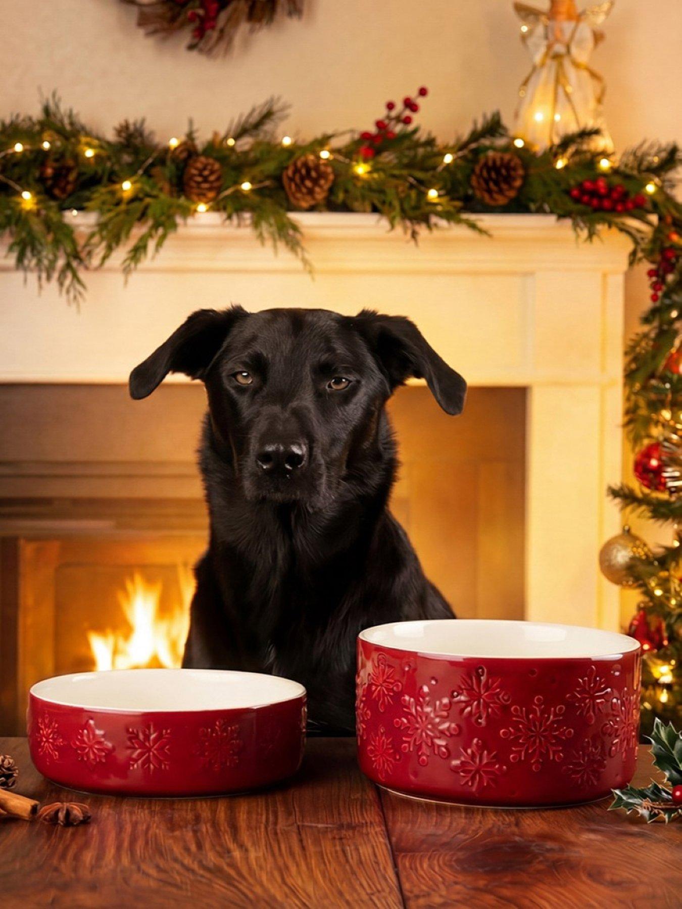 Image 1 of 5 of Scruffs Snow Bowl Food & Drink Bowl Gift Set - Red 15cm