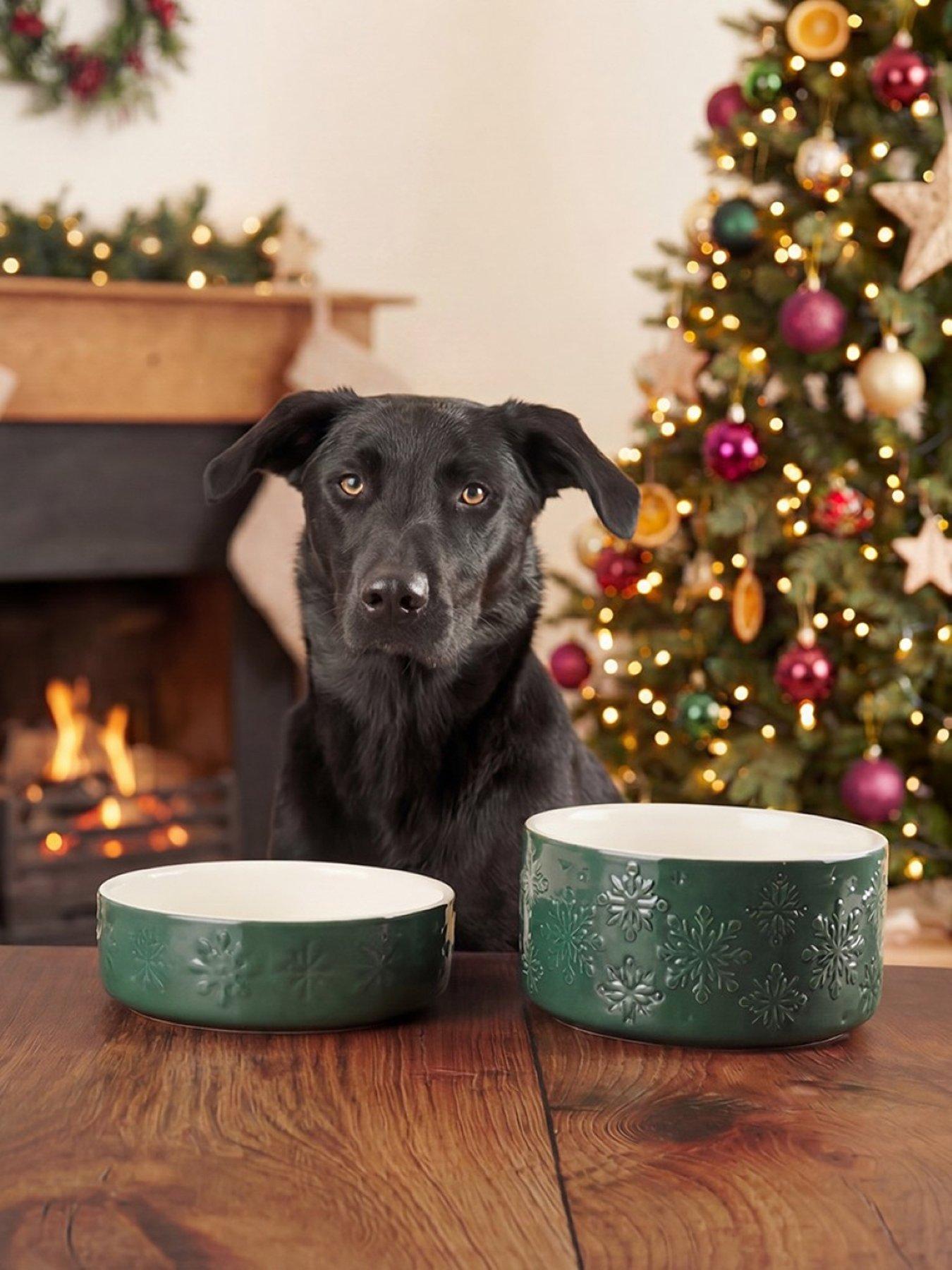 Image 1 of 5 of Scruffs Scruffs Snow Bowl Food & Drink Bowl Gift Set - 15cm