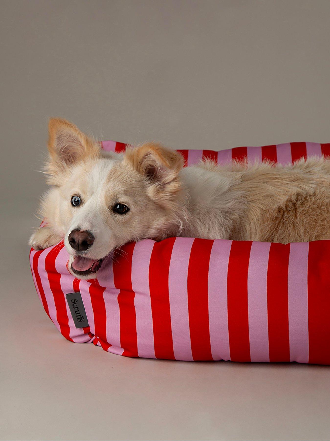 Image 4 of 7 of Scruffs Scruffs Amalfi Box Bed (M)