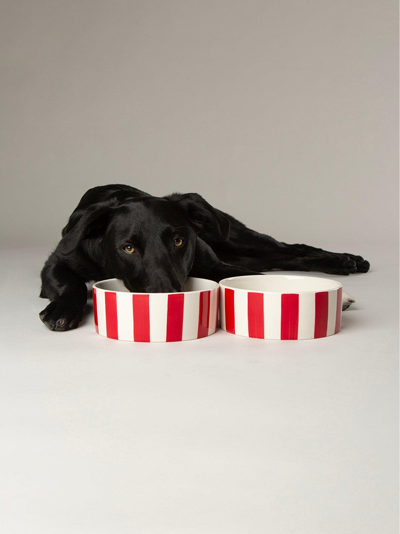 Scruffs Amalfi Stripe 2Pc Food Bowl Set - Image 2