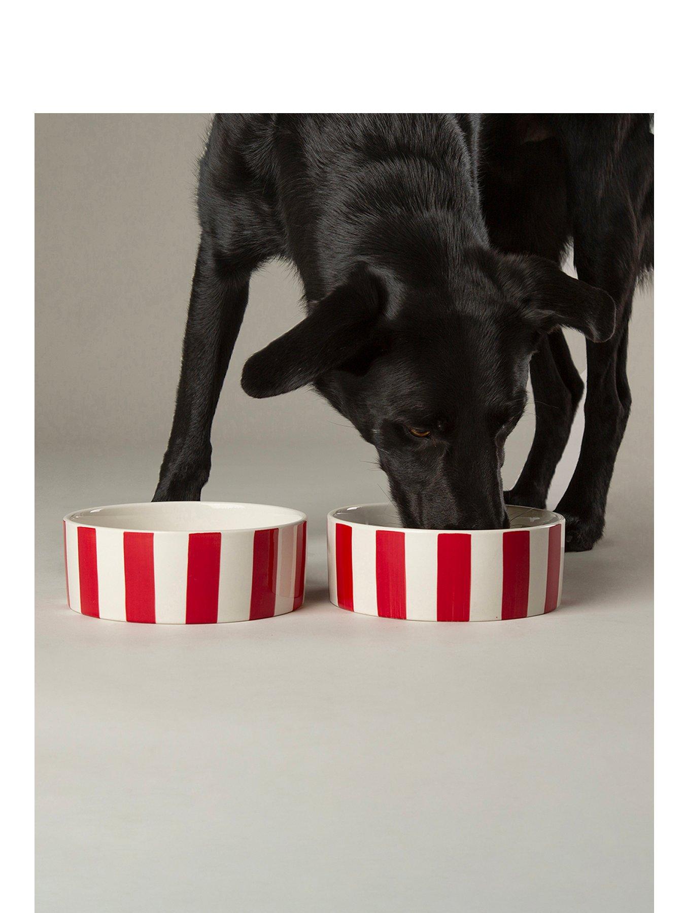 Image 2 of 5 of Scruffs Amalfi Stripe 2pc Food Bowl Set - 19cm
