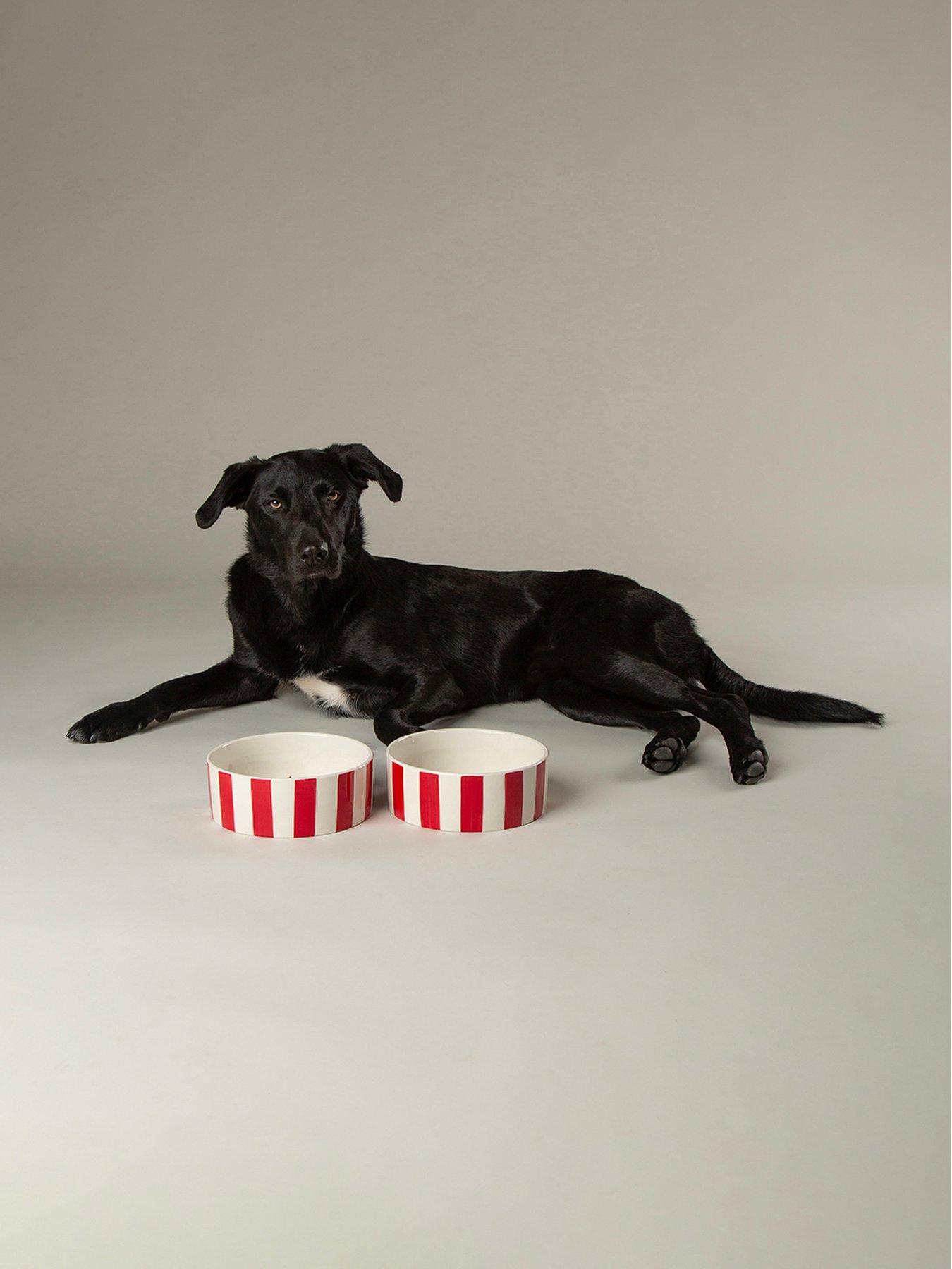 Image 3 of 5 of Scruffs Amalfi Stripe 2pc Food Bowl Set - 19cm