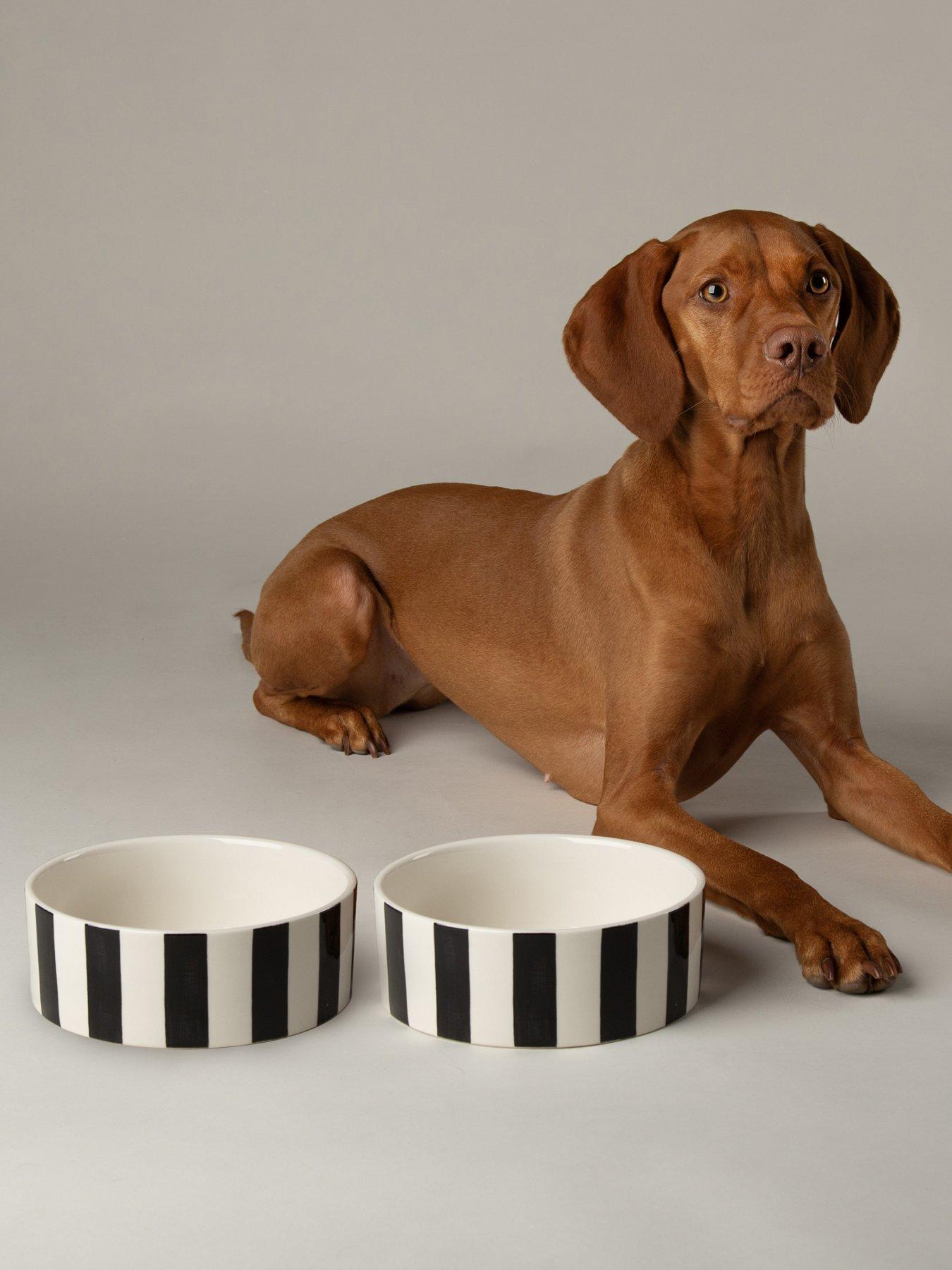 Scruffs Amalfi Stripe 2pc Food Bowl Set - 19cm
