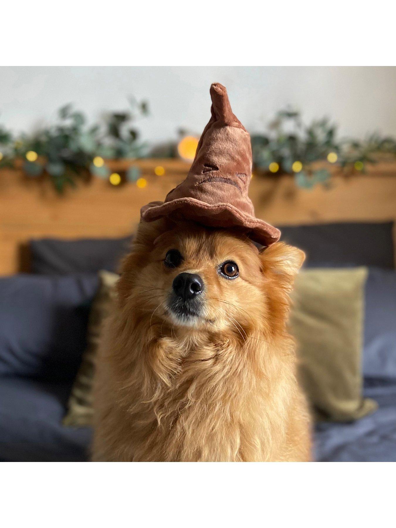 Bark Sorting Hat  Dog Toy