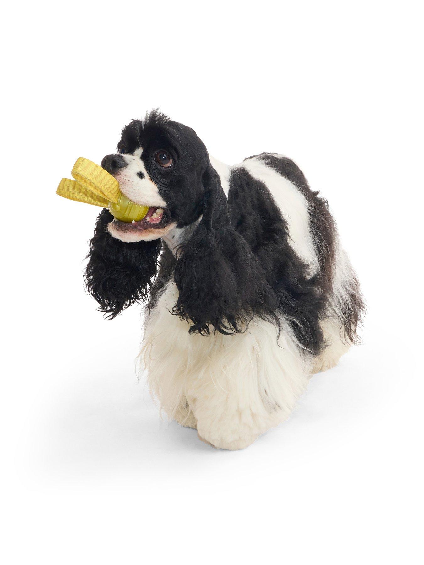 Image 6 of 6 of Bark Harry Potter The Golden Snitch