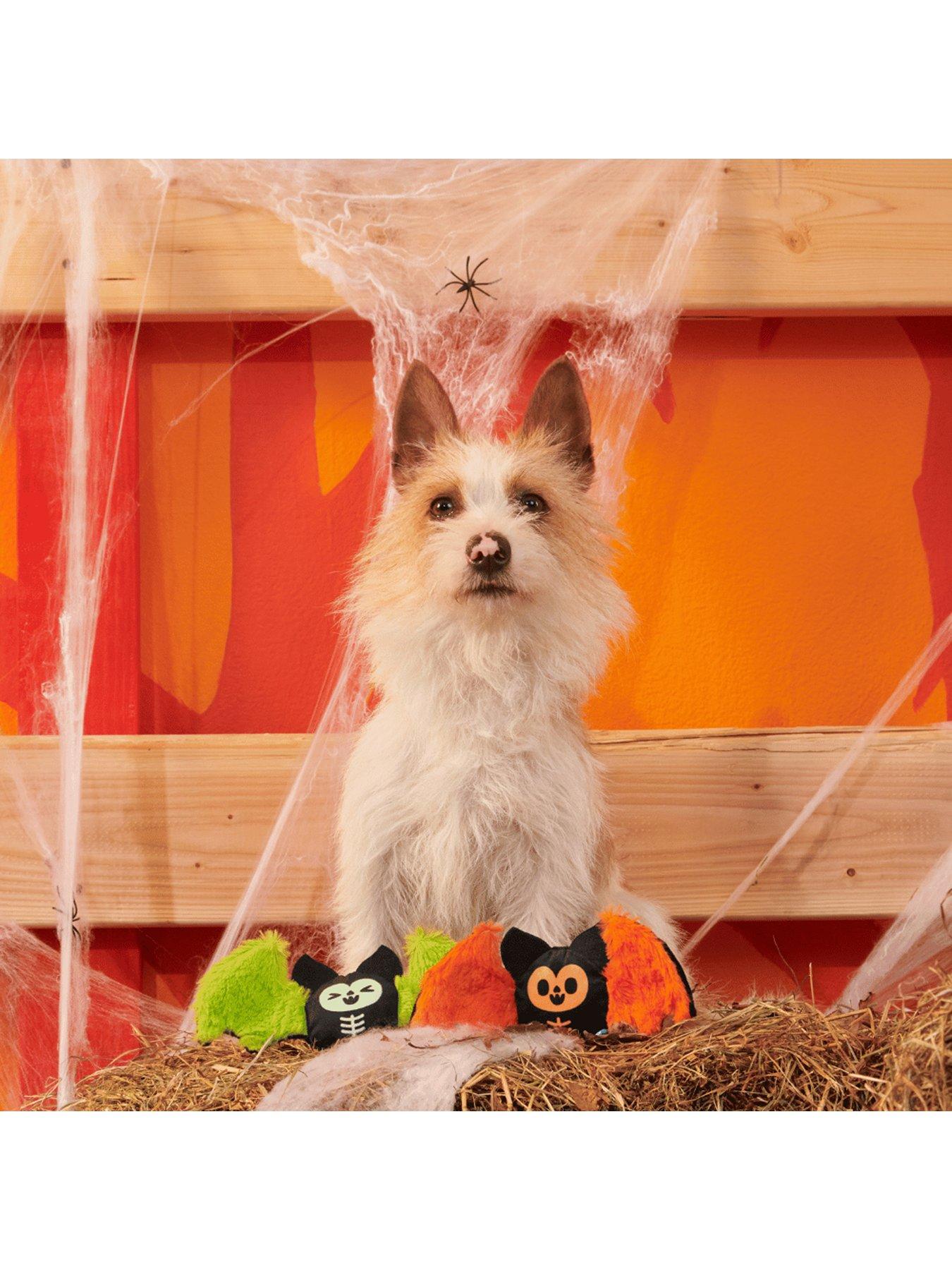 Image 3 of 3 of Bark Flutter & Fang  Dog Toy