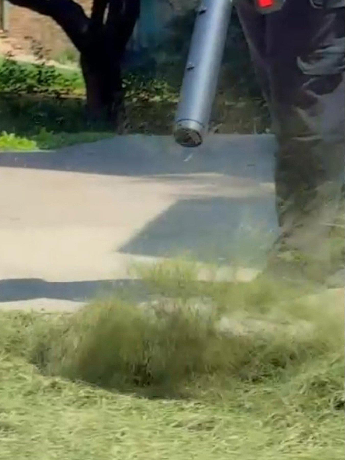 Image 4 of 4 of JML Starlyf Power Blower
